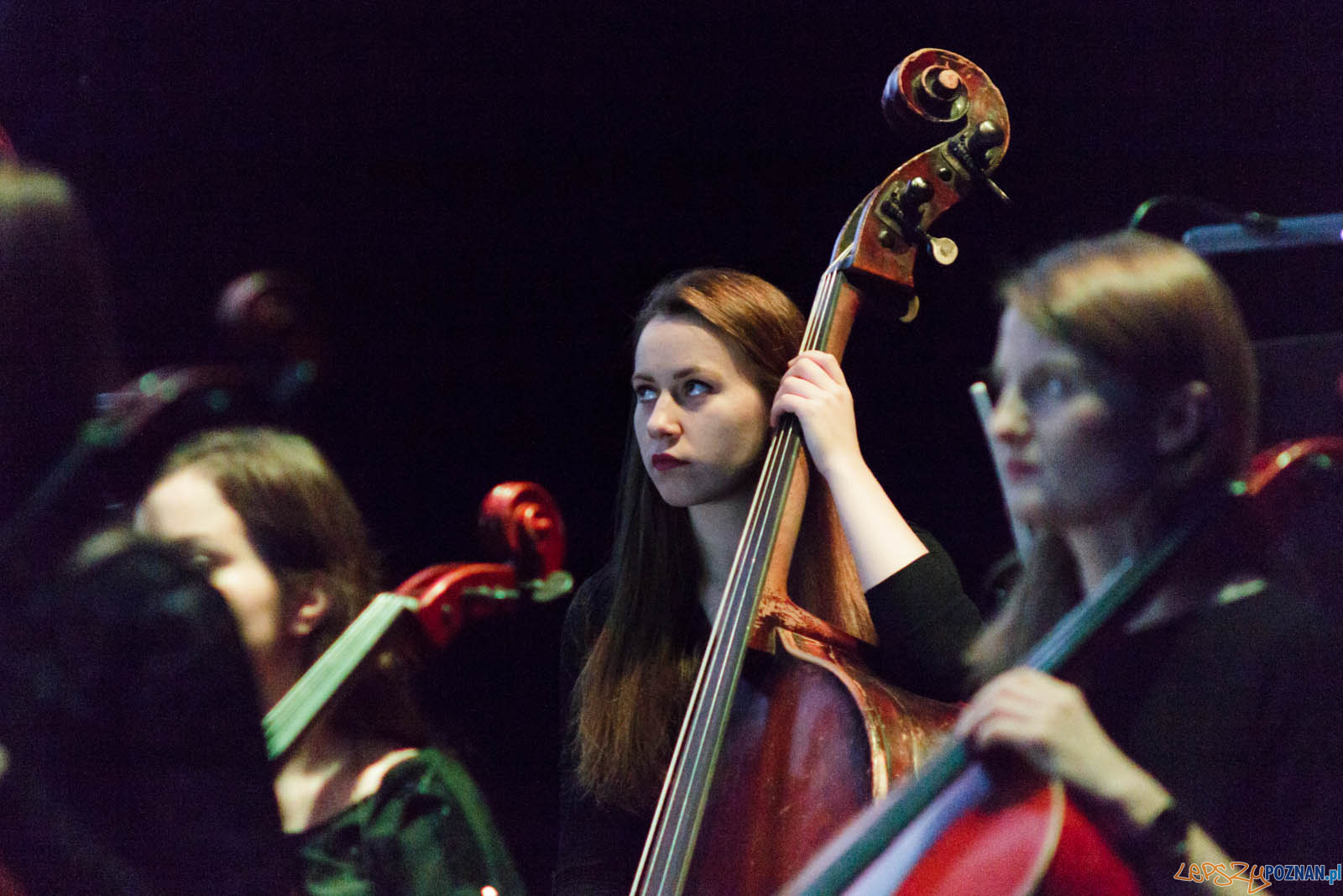 La La Land Foto: lepszyPOZNAN.pl / Ewelina Jaskowiak La La Land Foto: lepszyPOZNAN.pl / Ewelina Jaskowiak