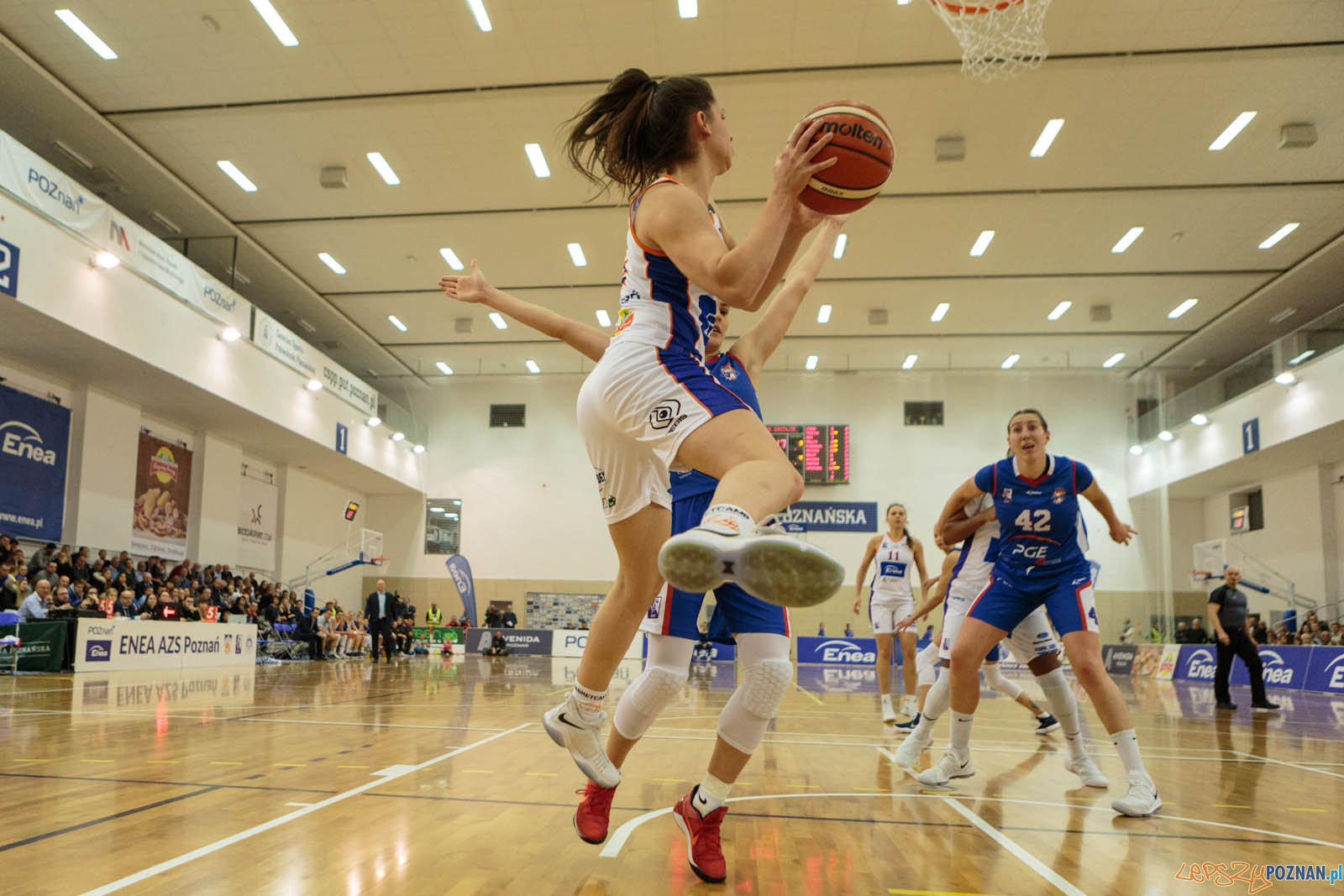 Basket Liga Kobiet: Enea AZS Poznań - PGE MKK Siedlce 85:64 - Foto: LepszyPOZNAN.pl / Paweł Rychter Basket Liga Kobiet: Enea AZS Poznań - PGE MKK Siedlce 85:64 - Foto: LepszyPOZNAN.pl / Paweł Rychter