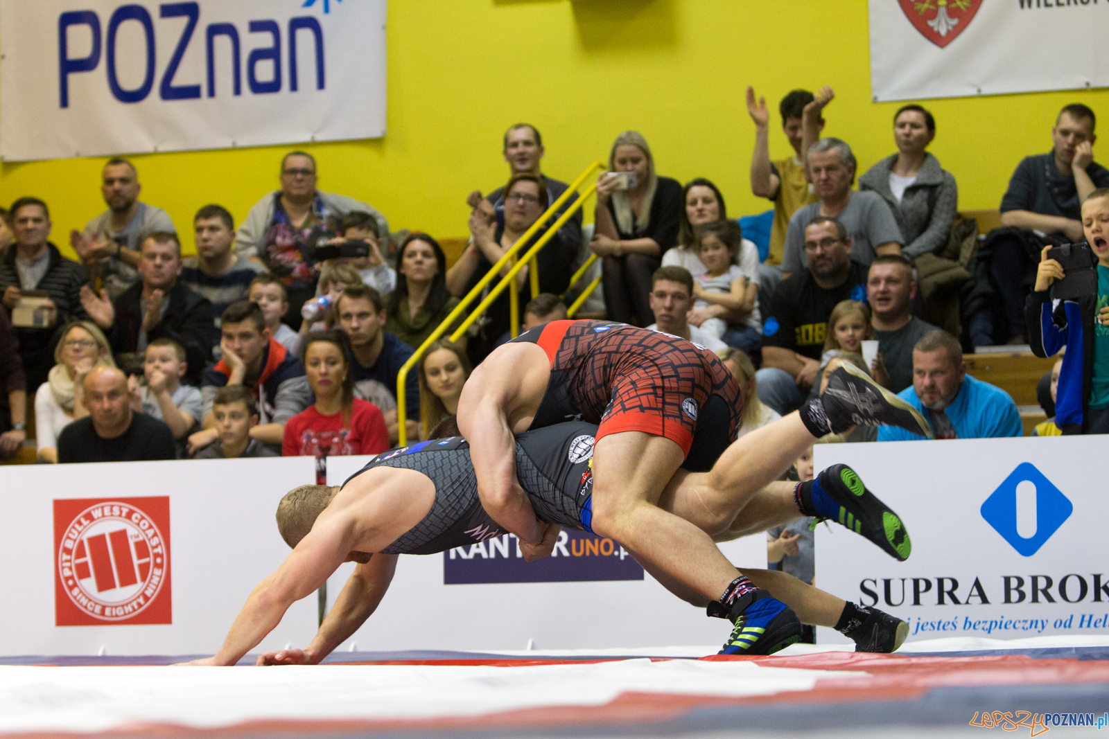 WZS WKS Grunwald -KS Sobieski Poznań - LOTTO Zapasy Bydgoszcz Foto: lepszyPOZNAN.pl/Piotr Rychter WZS WKS Grunwald -KS Sobieski Poznań - LOTTO Zapasy Bydgoszcz Foto: lepszyPOZNAN.pl/Piotr Rychter