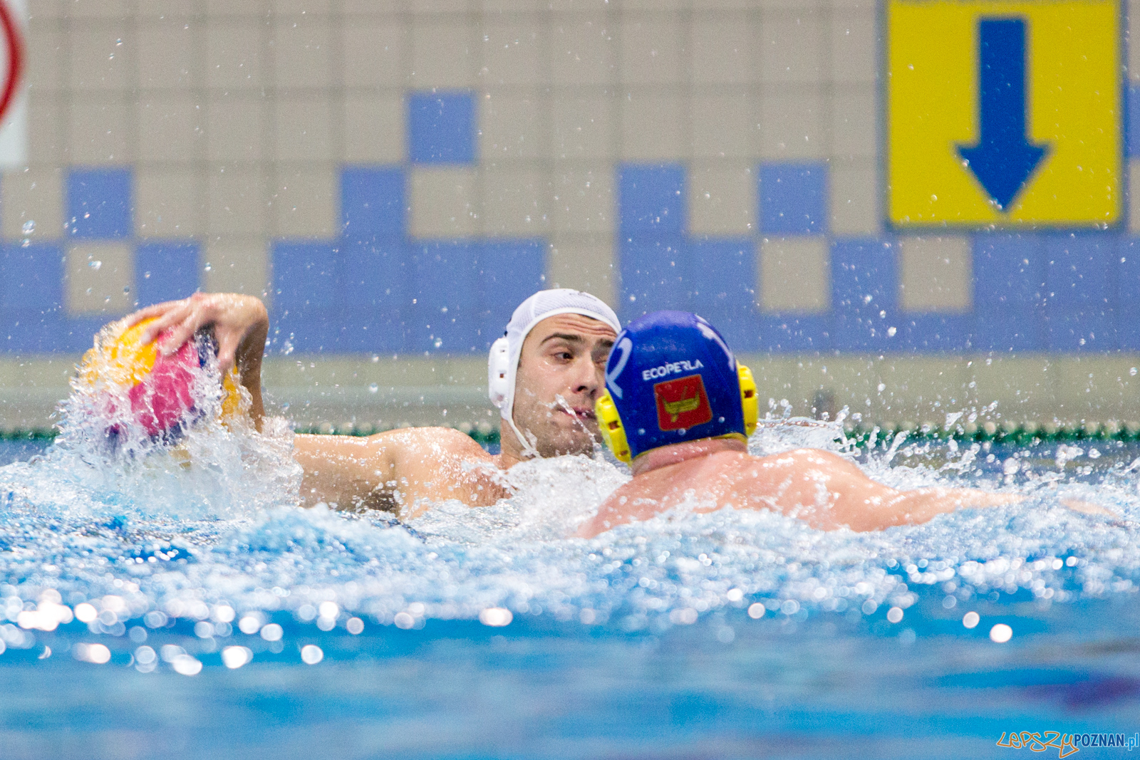 Waterpolo Poznań vs UKS Neptun Łódź Foto: lepszyPOZNAN.pl/Piotr Rychter Waterpolo Poznań vs UKS Neptun Łódź Foto: lepszyPOZNAN.pl/Piotr Rychter