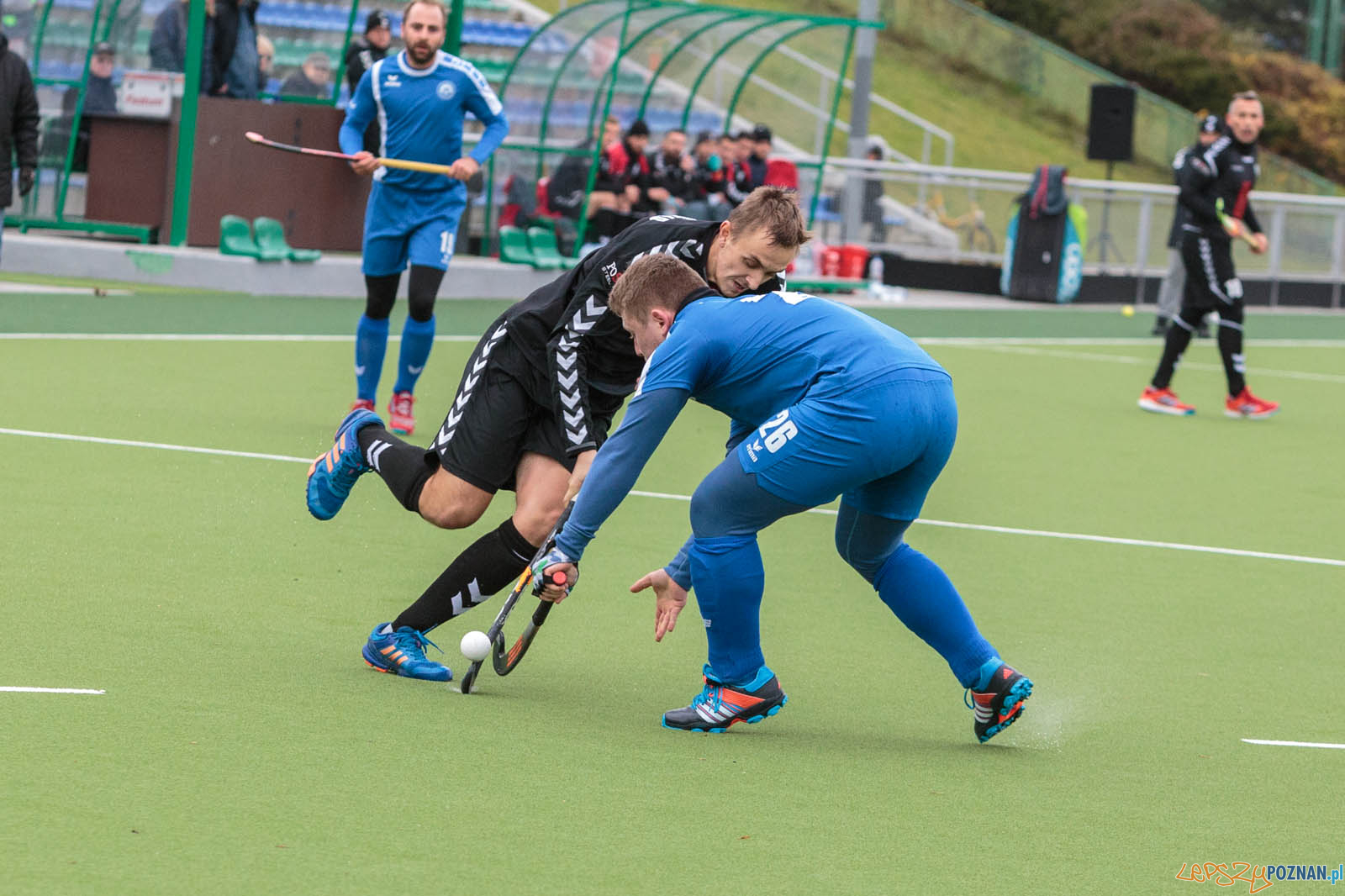 WKS Grunwald Poznań - AZS Politechnika Poznańska - Poznań 12. Foto: LepszyPOZNAN.pl / Paweł Rychter WKS Grunwald Poznań - AZS Politechnika Poznańska - Poznań 12. Foto: LepszyPOZNAN.pl / Paweł Rychter