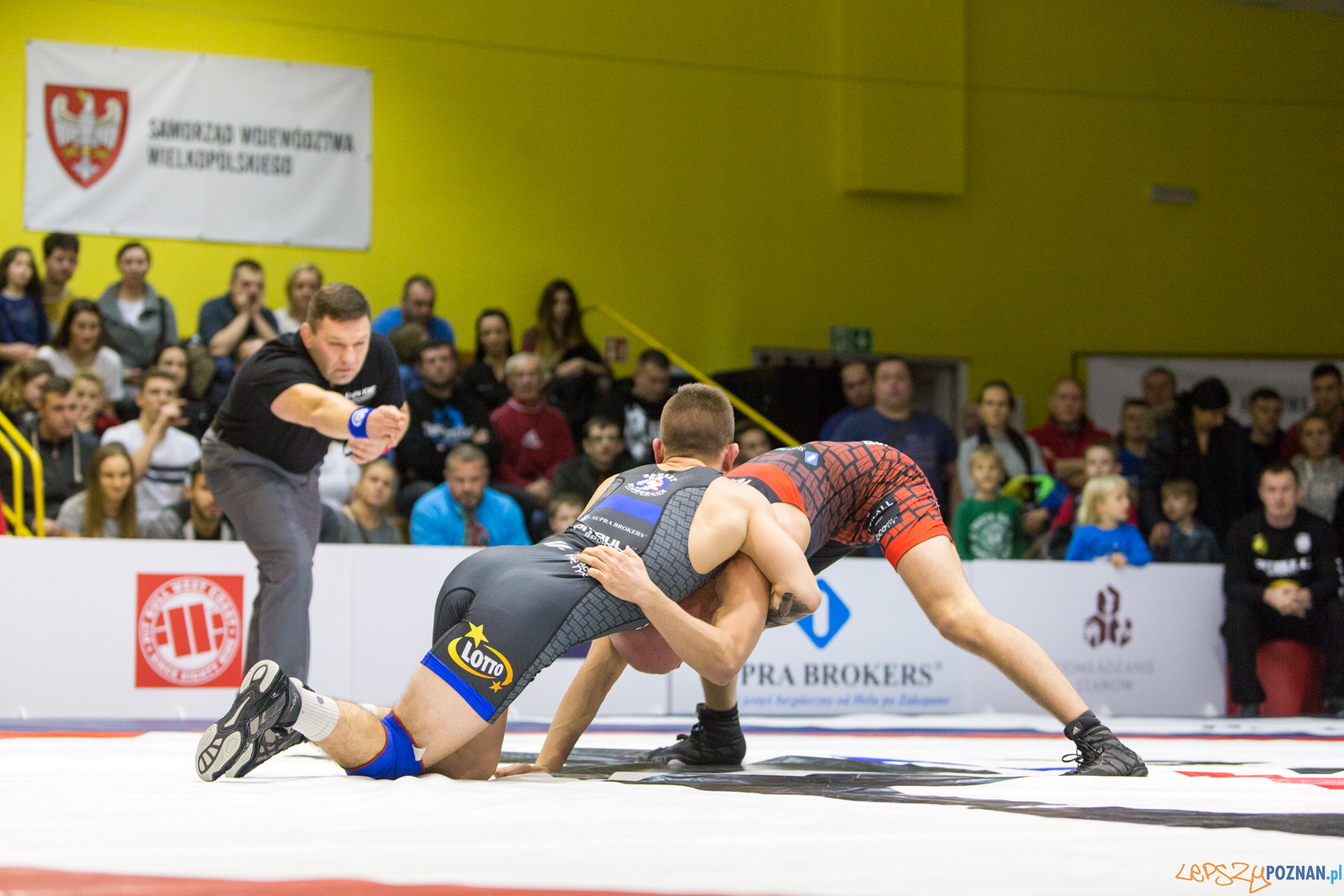 WZS WKS Grunwald -KS Sobieski Poznań - LOTTO Zapasy Bydgoszcz Foto: lepszyPOZNAN.pl/Piotr Rychter WZS WKS Grunwald -KS Sobieski Poznań - LOTTO Zapasy Bydgoszcz Foto: lepszyPOZNAN.pl/Piotr Rychter