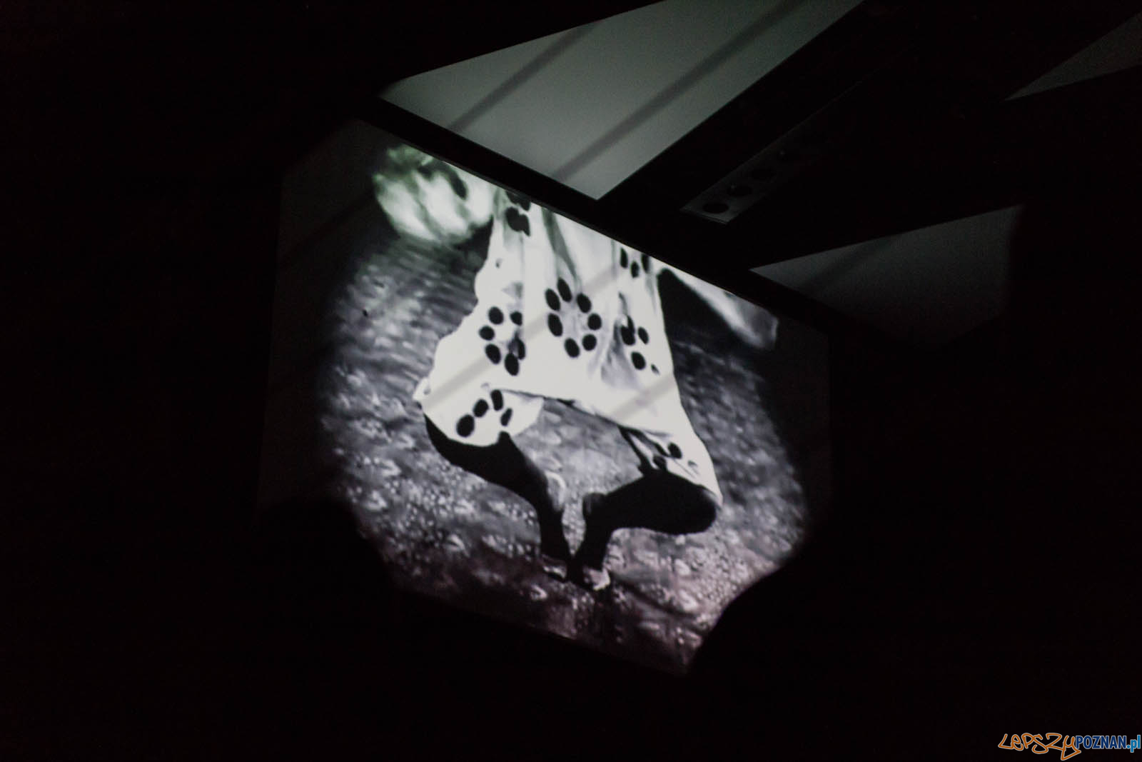 Frazy Festiwal słowa w piosence Foto: lepszyPOZNAN.pl / Ewelina Jaskowiak Frazy Festiwal słowa w piosence Foto: lepszyPOZNAN.pl / Ewelina Jaskowiak