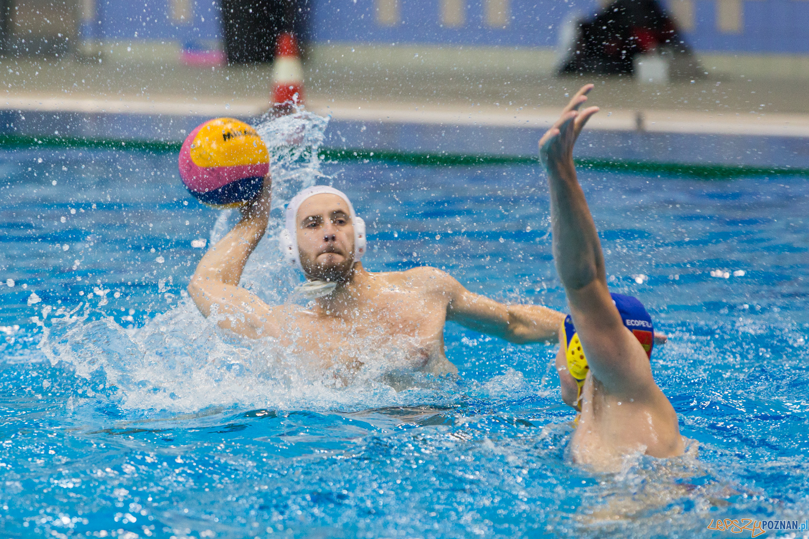 Waterpolo Poznań vs UKS Neptun Łódź Foto: lepszyPOZNAN.pl/Piotr Rychter Waterpolo Poznań vs UKS Neptun Łódź Foto: lepszyPOZNAN.pl/Piotr Rychter