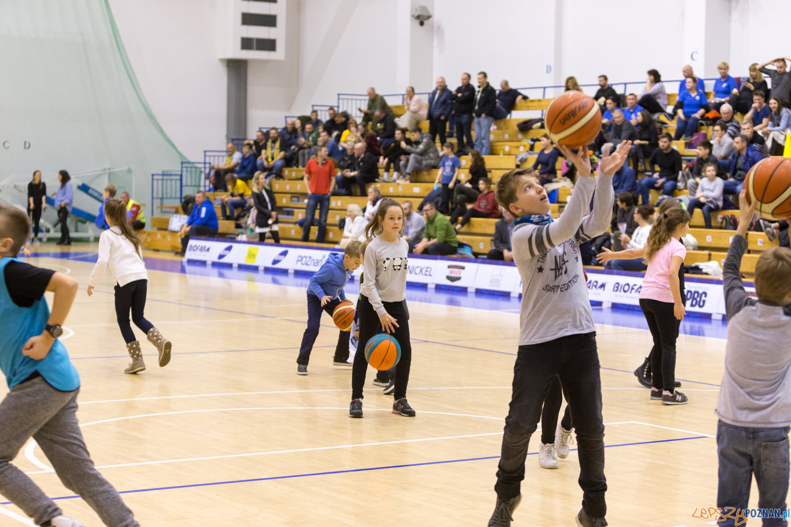 Biofarm Basket - Polfarmex Kutno Foto: lepszyPOZNAN.pl/Piotr Rychter Biofarm Basket - Polfarmex Kutno Foto: lepszyPOZNAN.pl/Piotr Rychter