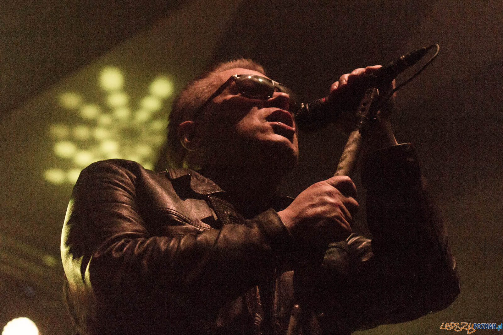 LP-7993 Foto: lepszyPOZNAN.pl / Ewelina Jaskowiak LP-7993 Foto: lepszyPOZNAN.pl / Ewelina Jaskowiak