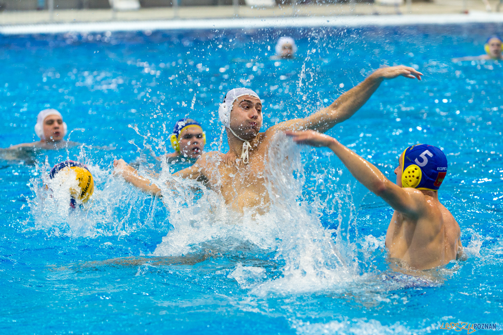Waterpolo Poznań vs UKS Neptun Łódź Foto: lepszyPOZNAN.pl/Piotr Rychter Waterpolo Poznań vs UKS Neptun Łódź Foto: lepszyPOZNAN.pl/Piotr Rychter