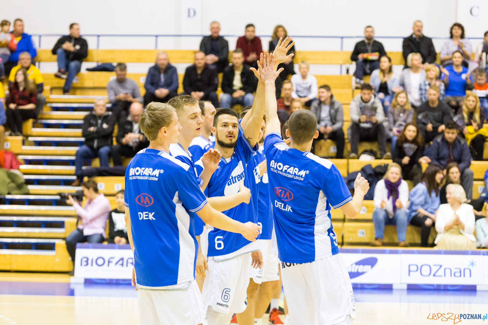 Biofarm Basket - Polfarmex Kutno Foto: lepszyPOZNAN.pl/Piotr Rychter Biofarm Basket - Polfarmex Kutno Foto: lepszyPOZNAN.pl/Piotr Rychter