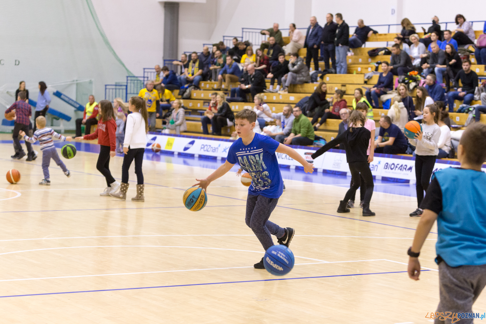Biofarm Basket - Polfarmex Kutno Foto: lepszyPOZNAN.pl/Piotr Rychter Biofarm Basket - Polfarmex Kutno Foto: lepszyPOZNAN.pl/Piotr Rychter