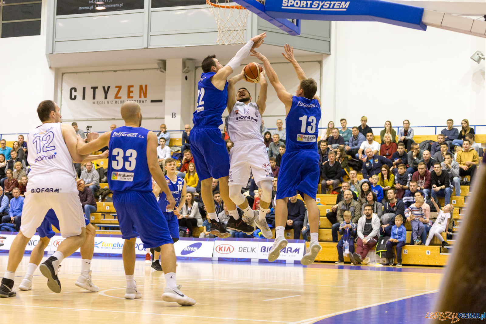 Biofarm Basket - Polfarmex Kutno Foto: lepszyPOZNAN.pl/Piotr Rychter Biofarm Basket - Polfarmex Kutno Foto: lepszyPOZNAN.pl/Piotr Rychter