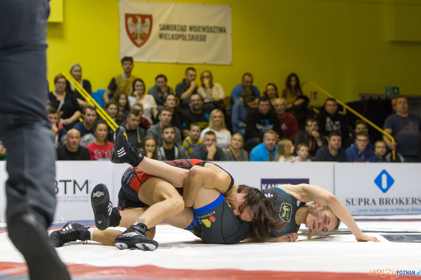 WZS WKS Grunwald -KS Sobieski Poznań - LOTTO Zapasy Bydgoszcz Foto: lepszyPOZNAN.pl/Piotr Rychter WZS WKS Grunwald -KS Sobieski Poznań - LOTTO Zapasy Bydgoszcz Foto: lepszyPOZNAN.pl/Piotr Rychter