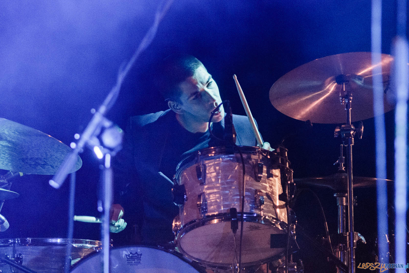 Frazy Festiwal słowa w piosence Foto: lepszyPOZNAN.pl / Ewelina Jaskowiak Frazy Festiwal słowa w piosence Foto: lepszyPOZNAN.pl / Ewelina Jaskowiak