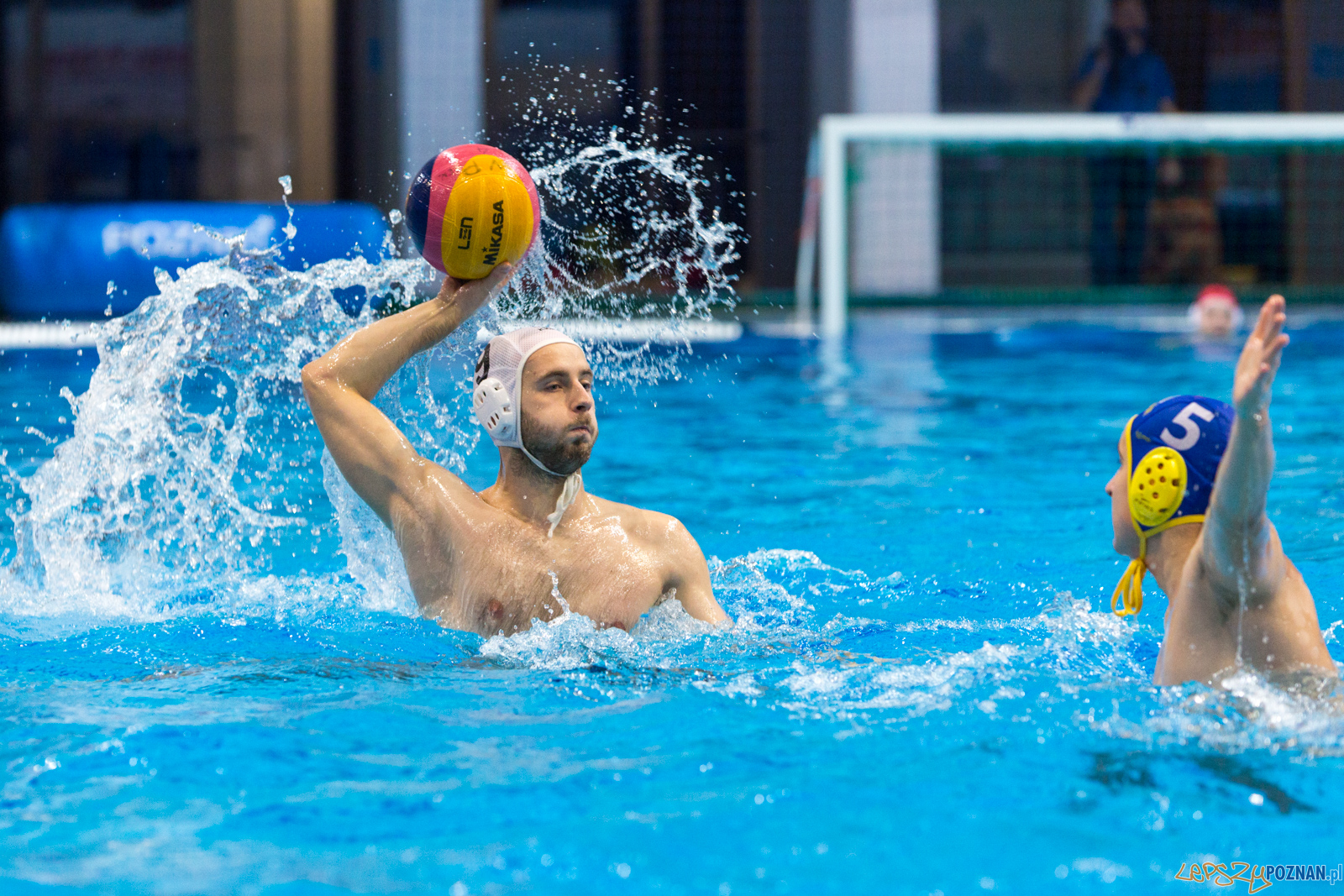 Waterpolo Poznań vs UKS Neptun Łódź Foto: lepszyPOZNAN.pl/Piotr Rychter Waterpolo Poznań vs UKS Neptun Łódź Foto: lepszyPOZNAN.pl/Piotr Rychter