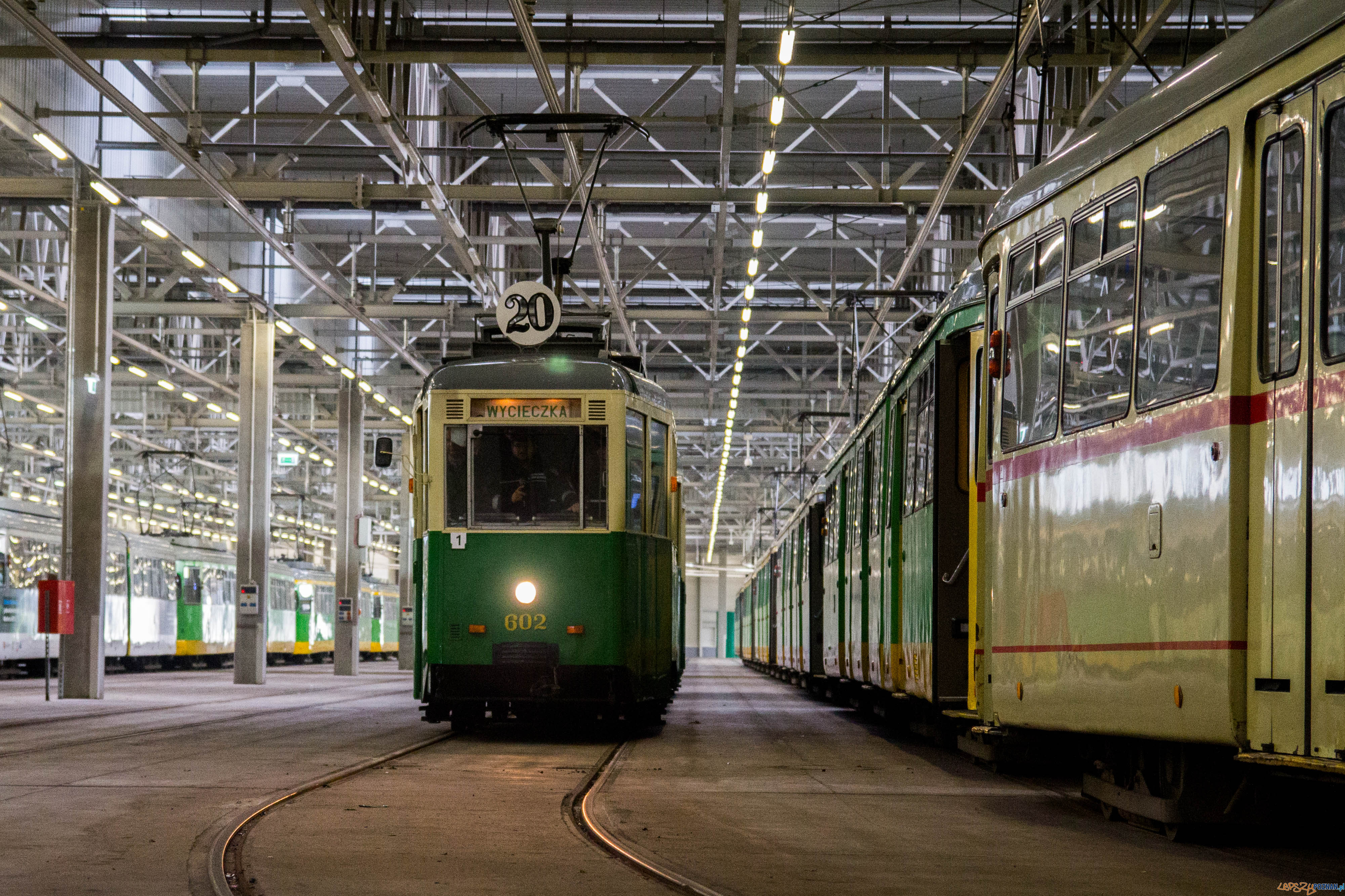 Katarzynki 2017 Foto: lepszyPOZNAN.pl / Ewelina Jaskowiak Katarzynki 2017 Foto: lepszyPOZNAN.pl / Ewelina Jaskowiak