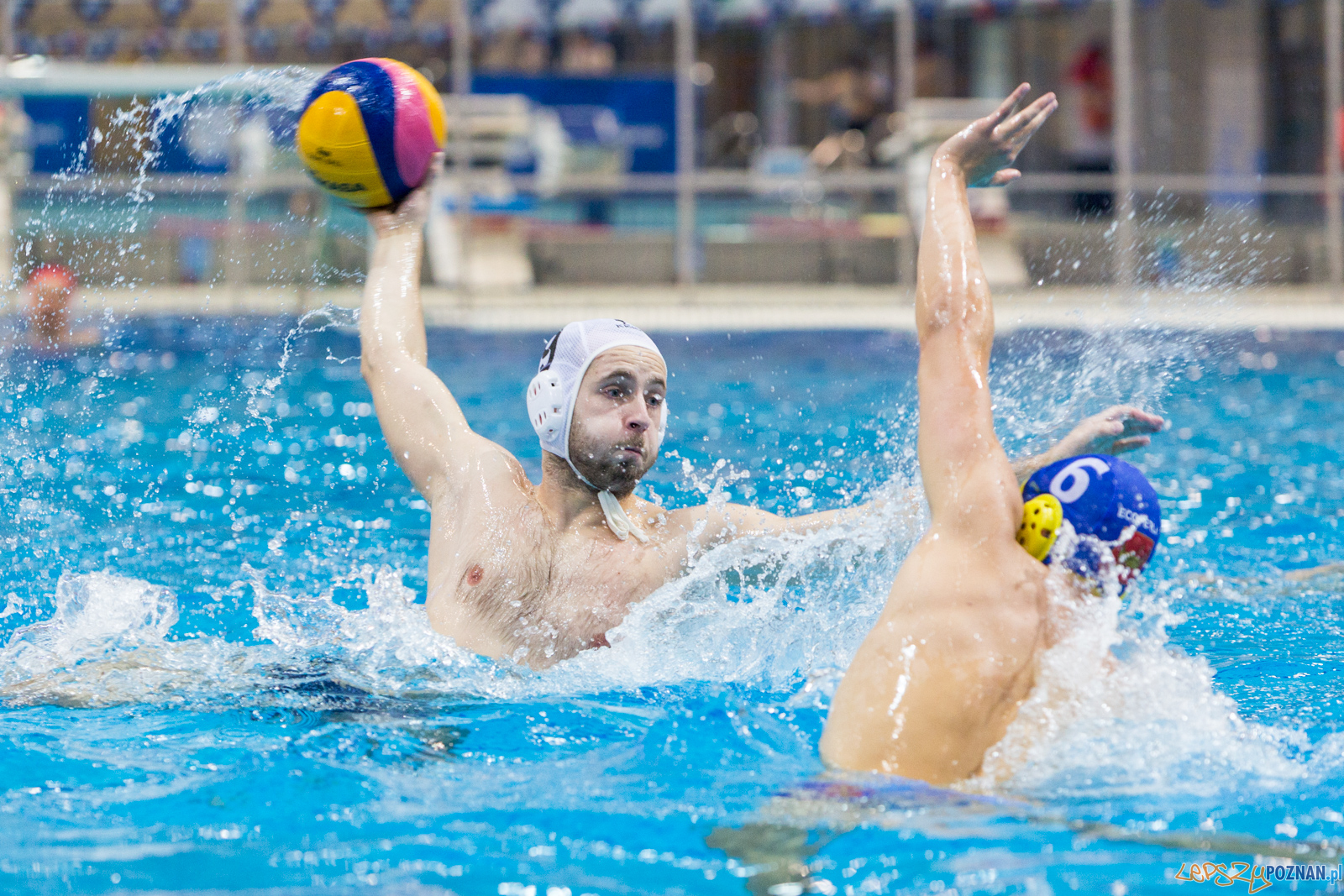 Waterpolo Poznań vs UKS Neptun Łódź Foto: lepszyPOZNAN.pl/Piotr Rychter Waterpolo Poznań vs UKS Neptun Łódź Foto: lepszyPOZNAN.pl/Piotr Rychter