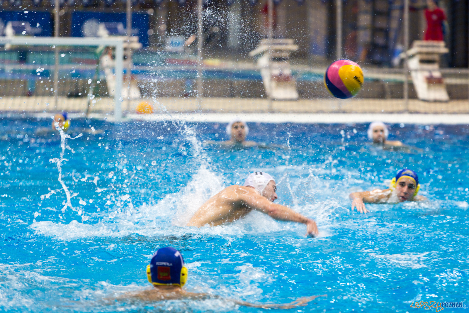 Waterpolo Poznań vs UKS Neptun Łódź Foto: lepszyPOZNAN.pl/Piotr Rychter Waterpolo Poznań vs UKS Neptun Łódź Foto: lepszyPOZNAN.pl/Piotr Rychter