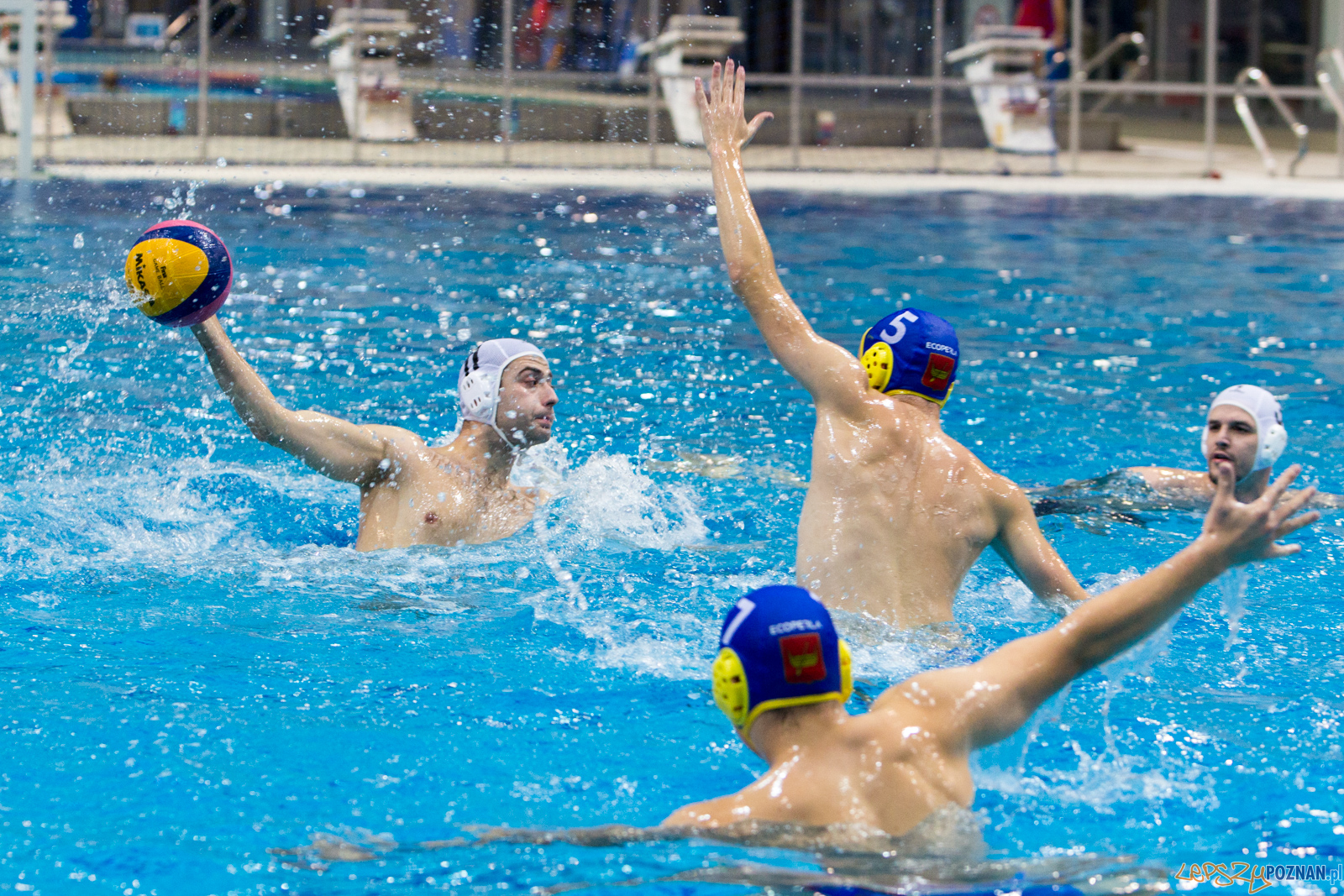 Waterpolo Poznań vs UKS Neptun Łódź Foto: lepszyPOZNAN.pl/Piotr Rychter Waterpolo Poznań vs UKS Neptun Łódź Foto: lepszyPOZNAN.pl/Piotr Rychter