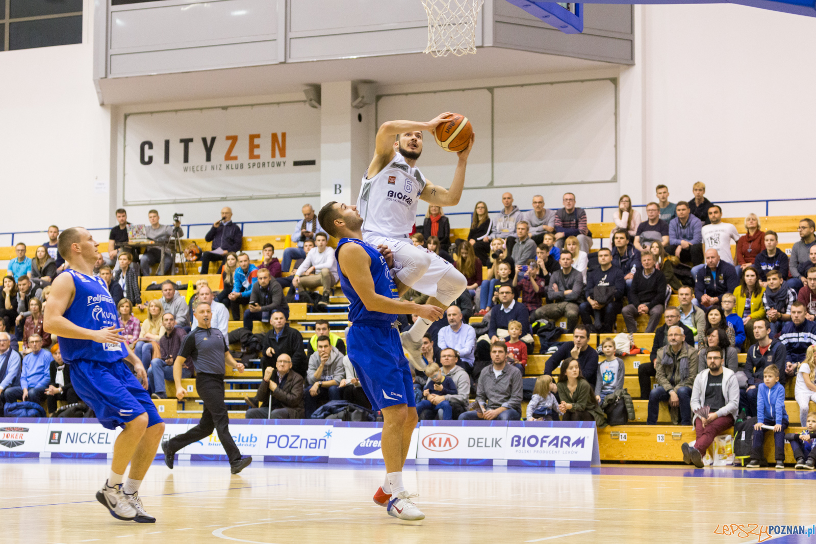 Biofarm Basket - Polfarmex Kutno Foto: lepszyPOZNAN.pl/Piotr Rychter Biofarm Basket - Polfarmex Kutno Foto: lepszyPOZNAN.pl/Piotr Rychter