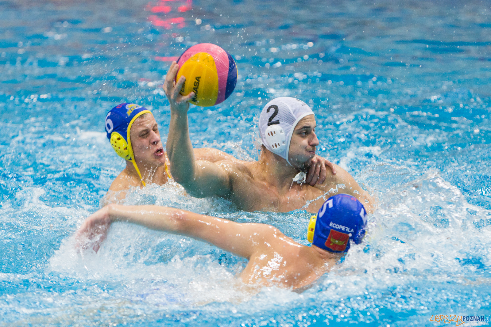 Waterpolo Poznań vs UKS Neptun Łódź Foto: lepszyPOZNAN.pl/Piotr Rychter Waterpolo Poznań vs UKS Neptun Łódź Foto: lepszyPOZNAN.pl/Piotr Rychter
