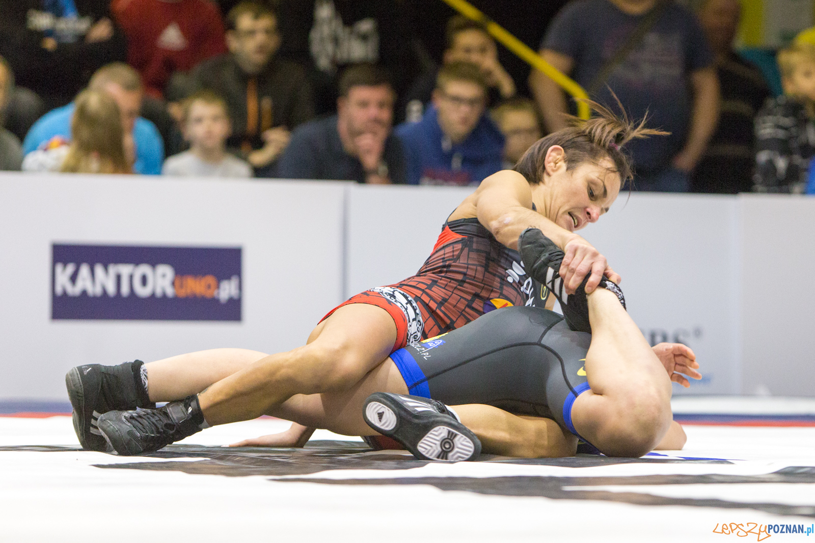 WZS WKS Grunwald -KS Sobieski Poznań - LOTTO Zapasy Bydgoszcz Foto: lepszyPOZNAN.pl/Piotr Rychter WZS WKS Grunwald -KS Sobieski Poznań - LOTTO Zapasy Bydgoszcz Foto: lepszyPOZNAN.pl/Piotr Rychter