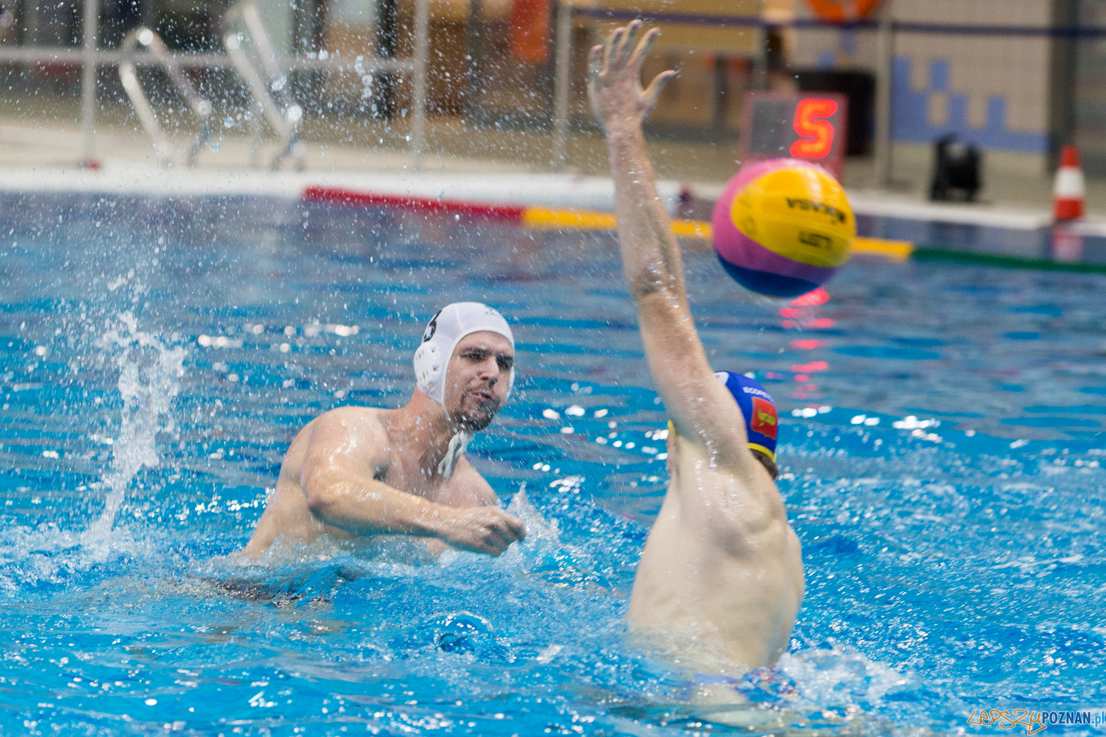Waterpolo Poznań vs UKS Neptun Łódź Foto: lepszyPOZNAN.pl/Piotr Rychter Waterpolo Poznań vs UKS Neptun Łódź Foto: lepszyPOZNAN.pl/Piotr Rychter