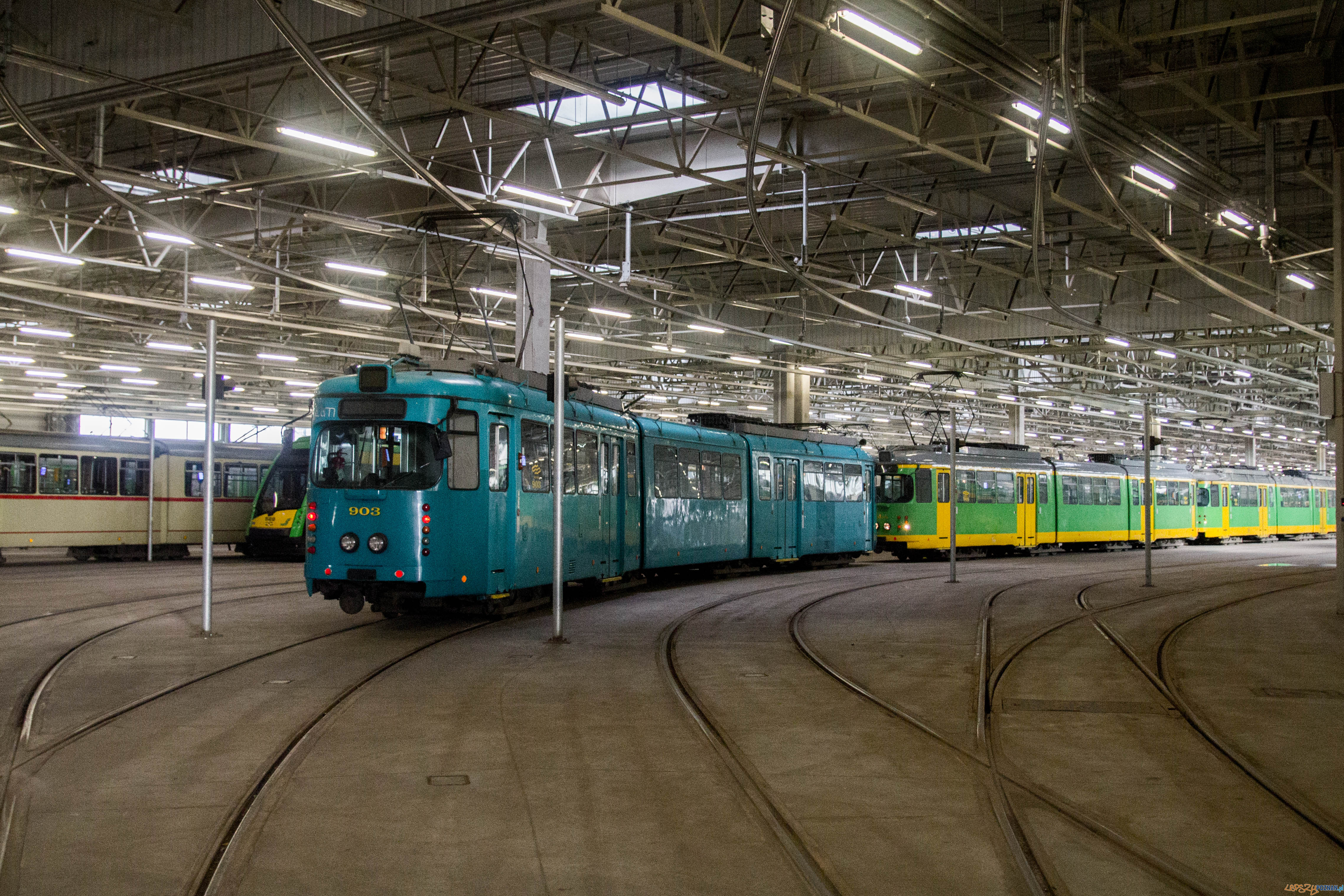 Katarzynki 2017 Foto: lepszyPOZNAN.pl / Ewelina Jaskowiak Katarzynki 2017 Foto: lepszyPOZNAN.pl / Ewelina Jaskowiak