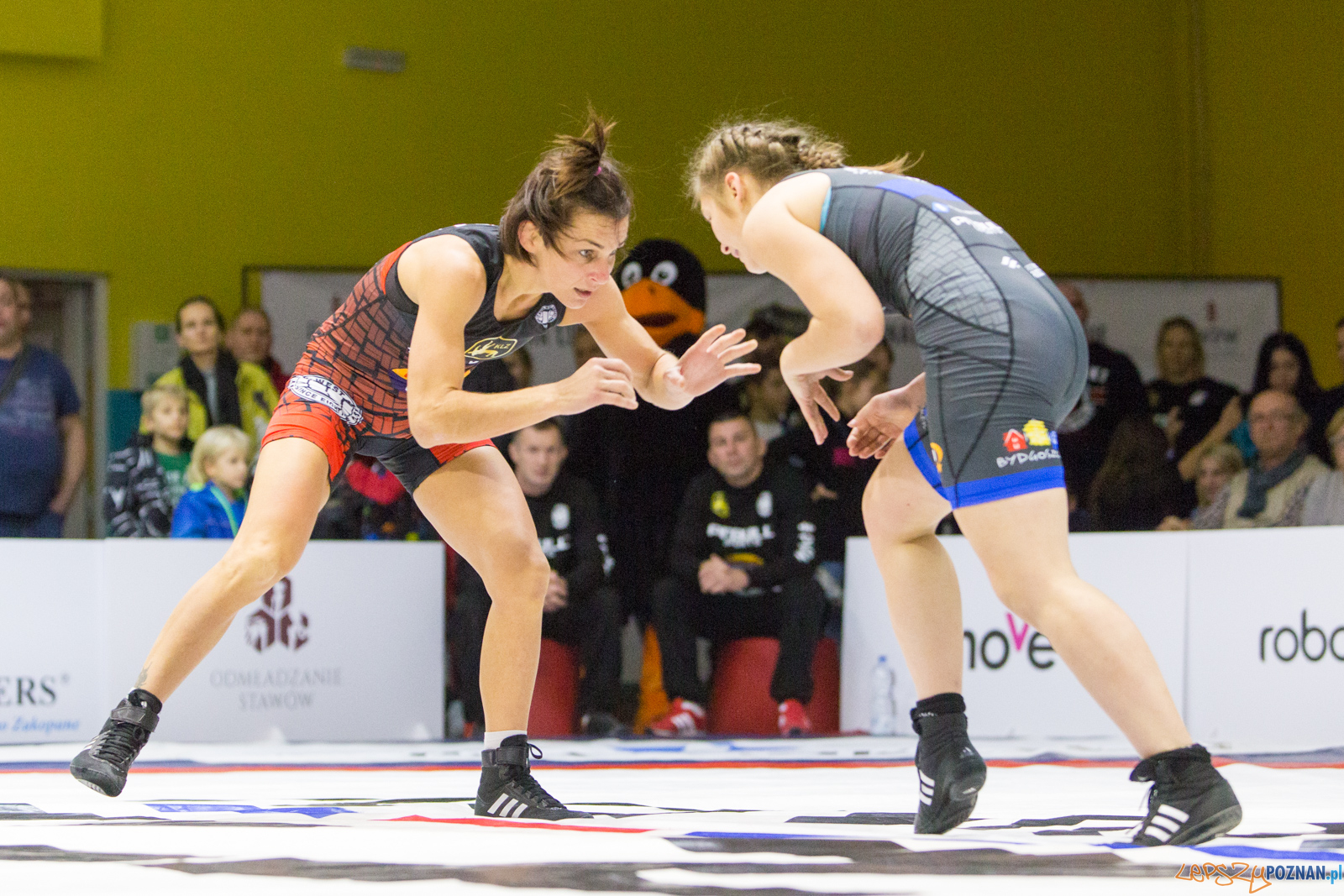 WZS WKS Grunwald -KS Sobieski Poznań - LOTTO Zapasy Bydgoszcz Foto: lepszyPOZNAN.pl/Piotr Rychter WZS WKS Grunwald -KS Sobieski Poznań - LOTTO Zapasy Bydgoszcz Foto: lepszyPOZNAN.pl/Piotr Rychter