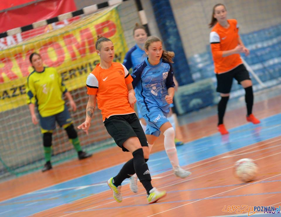 KU AZS UW Warszawa - KU AZS UAM Poznań Foto: RaJu / materiały prasowe KU AZS UW Warszawa - KU AZS UAM Poznań Foto: RaJu / materiały prasowe