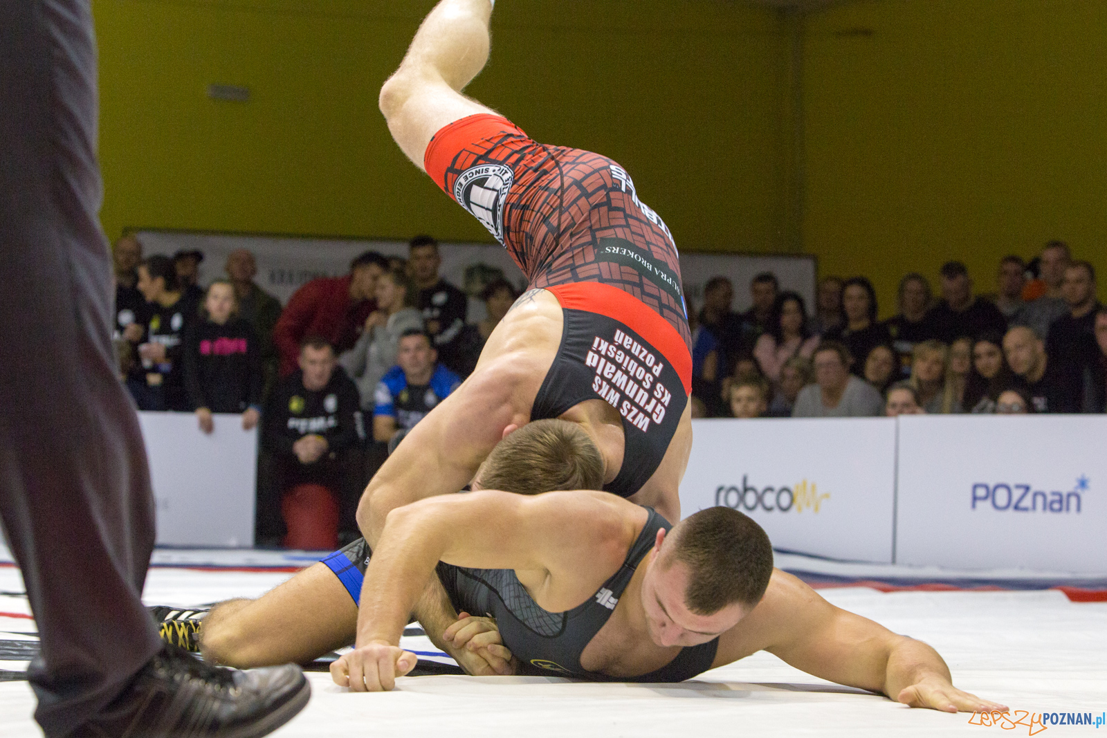 WZS WKS Grunwald -KS Sobieski Poznań - LOTTO Zapasy Bydgoszcz Foto: lepszyPOZNAN.pl/Piotr Rychter WZS WKS Grunwald -KS Sobieski Poznań - LOTTO Zapasy Bydgoszcz Foto: lepszyPOZNAN.pl/Piotr Rychter