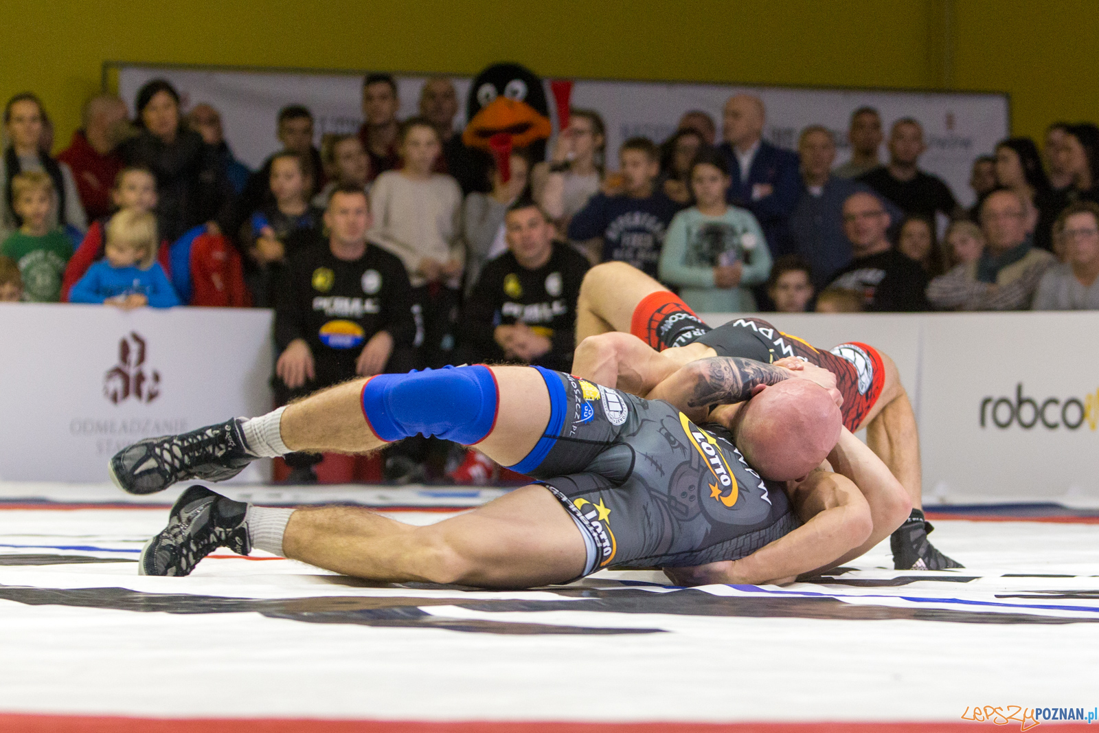 WZS WKS Grunwald -KS Sobieski Poznań - LOTTO Zapasy Bydgoszcz Foto: lepszyPOZNAN.pl/Piotr Rychter WZS WKS Grunwald -KS Sobieski Poznań - LOTTO Zapasy Bydgoszcz Foto: lepszyPOZNAN.pl/Piotr Rychter