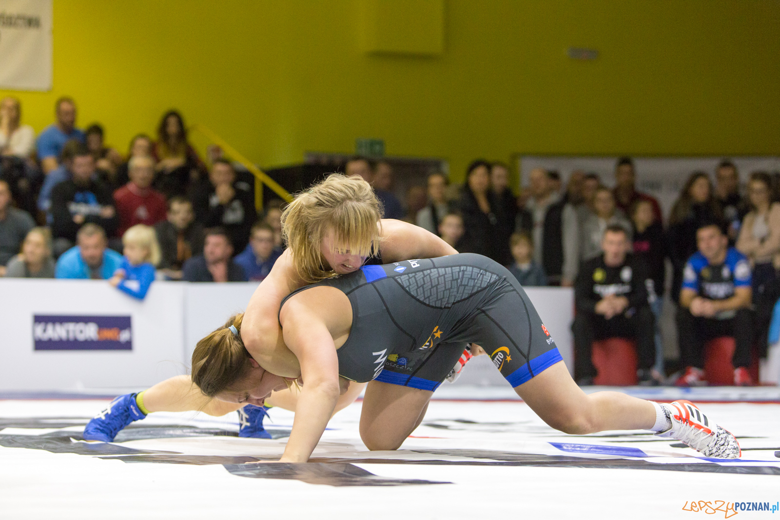 WZS WKS Grunwald -KS Sobieski Poznań - LOTTO Zapasy Bydgoszcz Foto: lepszyPOZNAN.pl/Piotr Rychter WZS WKS Grunwald -KS Sobieski Poznań - LOTTO Zapasy Bydgoszcz Foto: lepszyPOZNAN.pl/Piotr Rychter