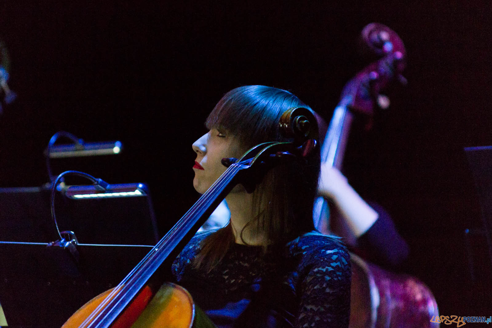 La La Land Foto: lepszyPOZNAN.pl / Ewelina Jaskowiak La La Land Foto: lepszyPOZNAN.pl / Ewelina Jaskowiak