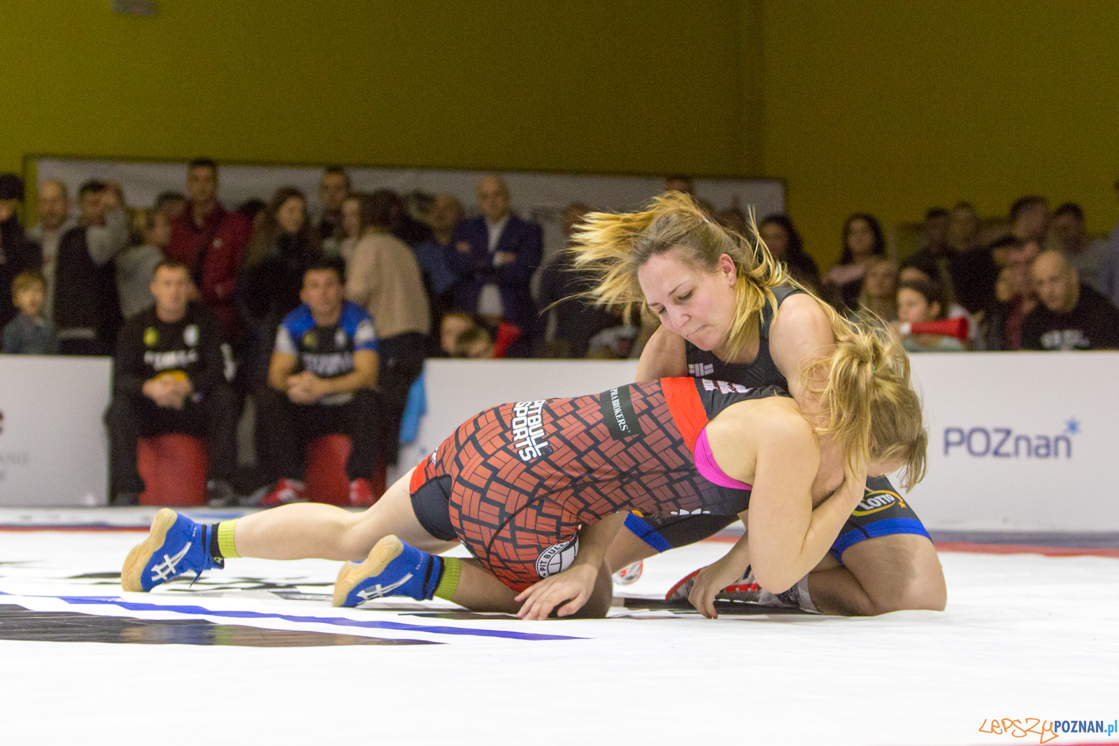 WZS WKS Grunwald -KS Sobieski Poznań - LOTTO Zapasy Bydgoszcz Foto: lepszyPOZNAN.pl/Piotr Rychter WZS WKS Grunwald -KS Sobieski Poznań - LOTTO Zapasy Bydgoszcz Foto: lepszyPOZNAN.pl/Piotr Rychter