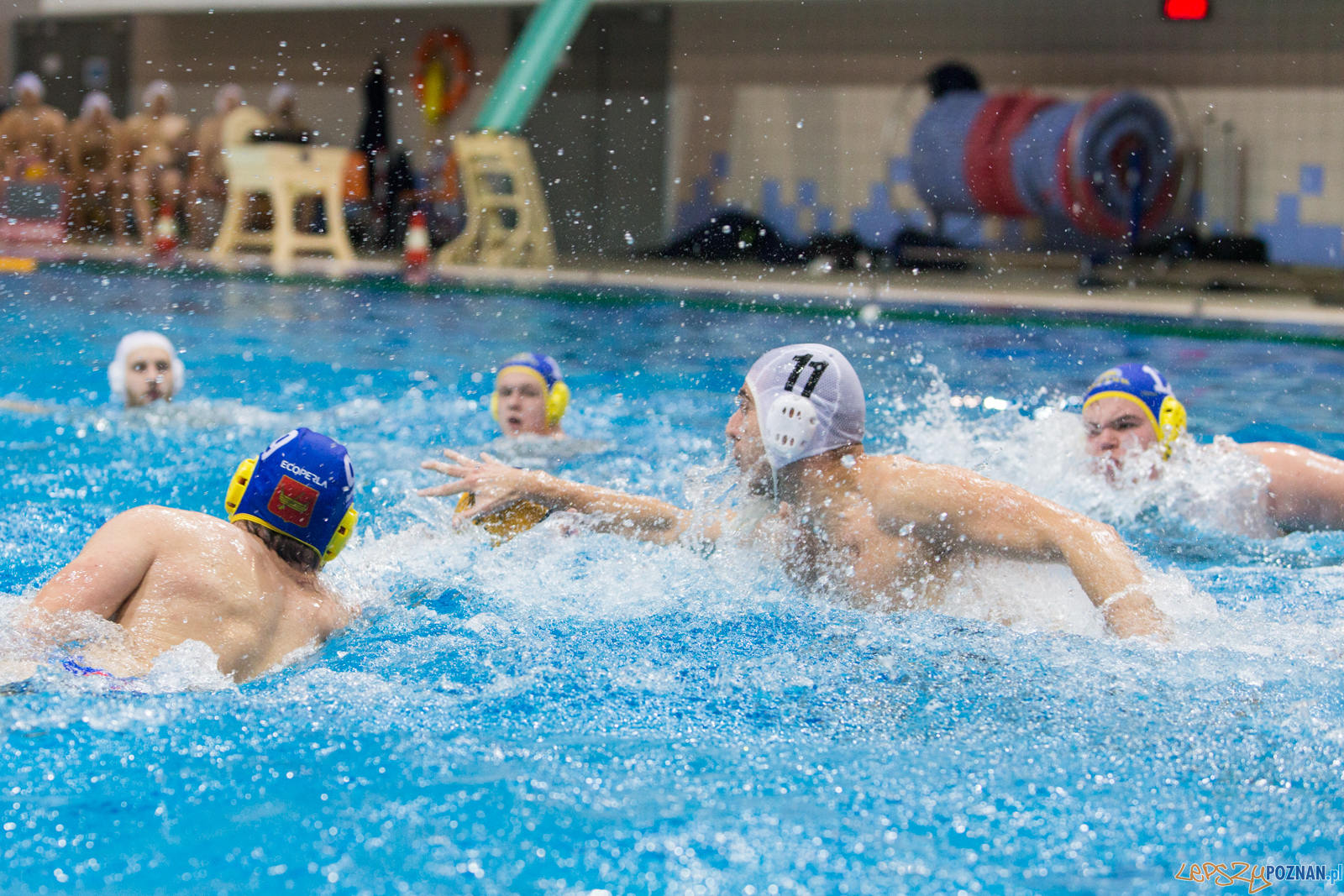 Waterpolo Poznań vs UKS Neptun Łódź Foto: lepszyPOZNAN.pl/Piotr Rychter Waterpolo Poznań vs UKS Neptun Łódź Foto: lepszyPOZNAN.pl/Piotr Rychter