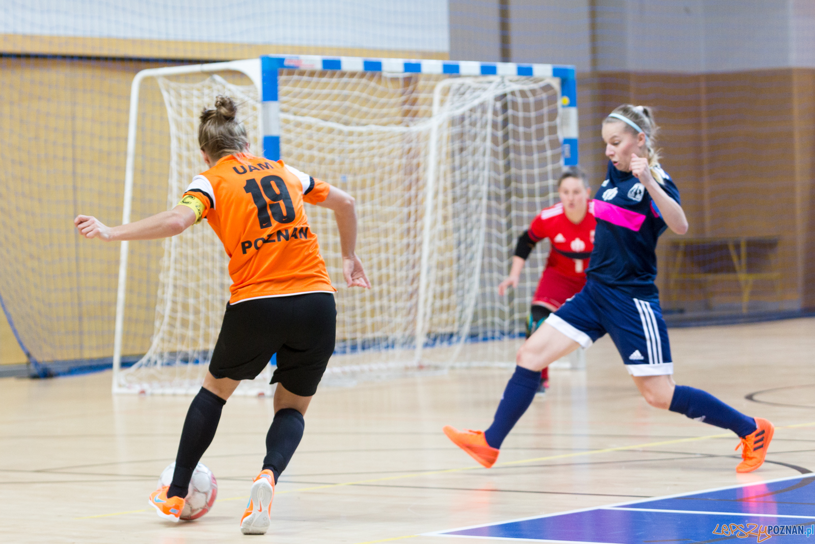 AZS UAM Poznań - AZS AWF Warszawa Foto: lepszyPOZNAN.pl/Piotr Rychter AZS UAM Poznań - AZS AWF Warszawa Foto: lepszyPOZNAN.pl/Piotr Rychter