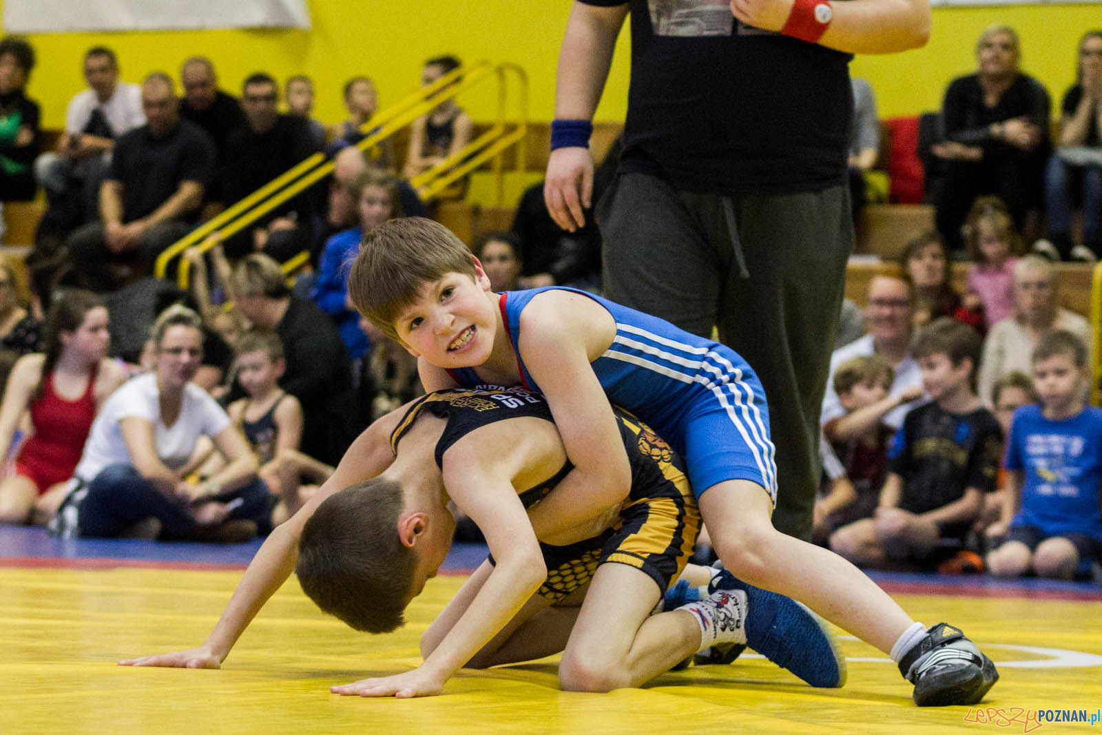 Zapasy z Gwiazdorem Foto: lepszyPOZNAN.pl / Ewelina Jaskowiak Zapasy z Gwiazdorem Foto: lepszyPOZNAN.pl / Ewelina Jaskowiak