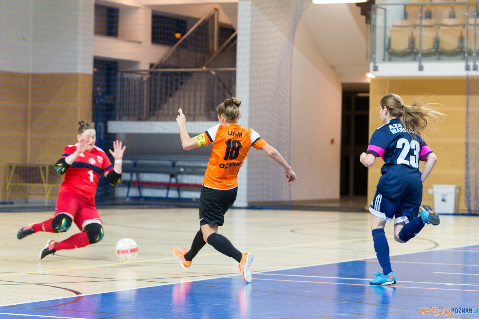 AZS UAM Poznań - AZS AWF Warszawa Foto: lepszyPOZNAN.pl/Piotr Rychter AZS UAM Poznań - AZS AWF Warszawa Foto: lepszyPOZNAN.pl/Piotr Rychter