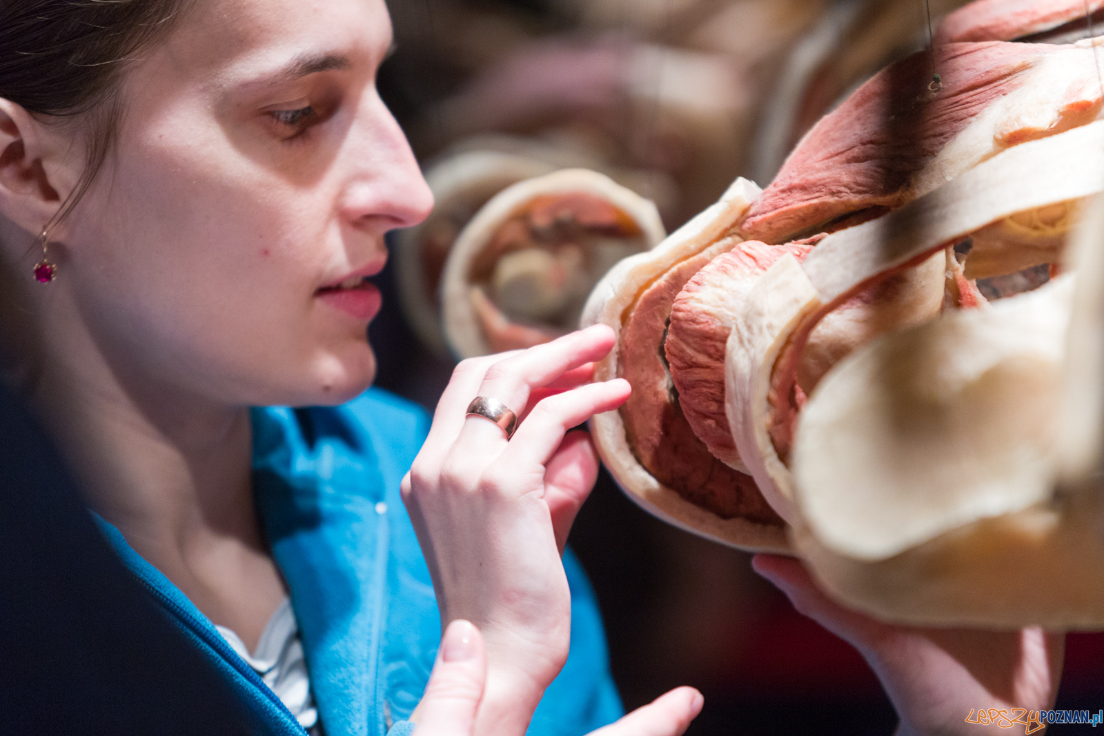 Body Worlds Foto: lepszyPOZNAN.pl/Piotr Rychter Body Worlds Foto: lepszyPOZNAN.pl/Piotr Rychter