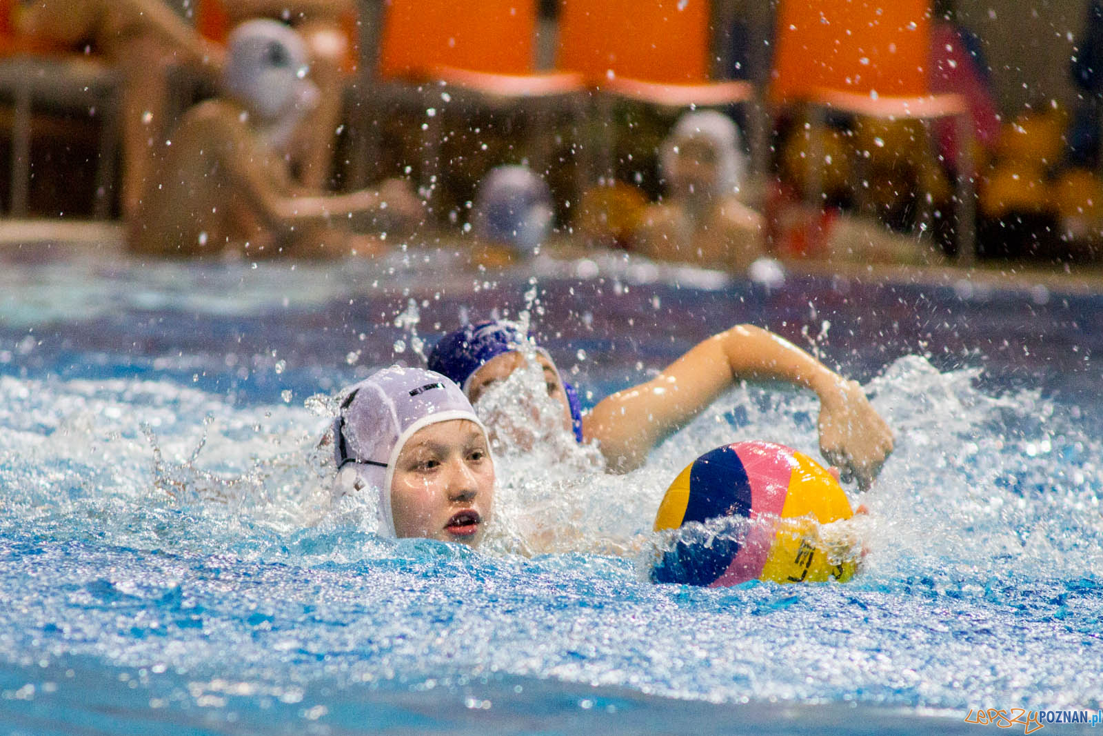 Junior Malta Waterpolo Cup 2017 Foto: lepszyPOZNAN.pl / Ewelina Jaskowiak Junior Malta Waterpolo Cup 2017 Foto: lepszyPOZNAN.pl / Ewelina Jaskowiak