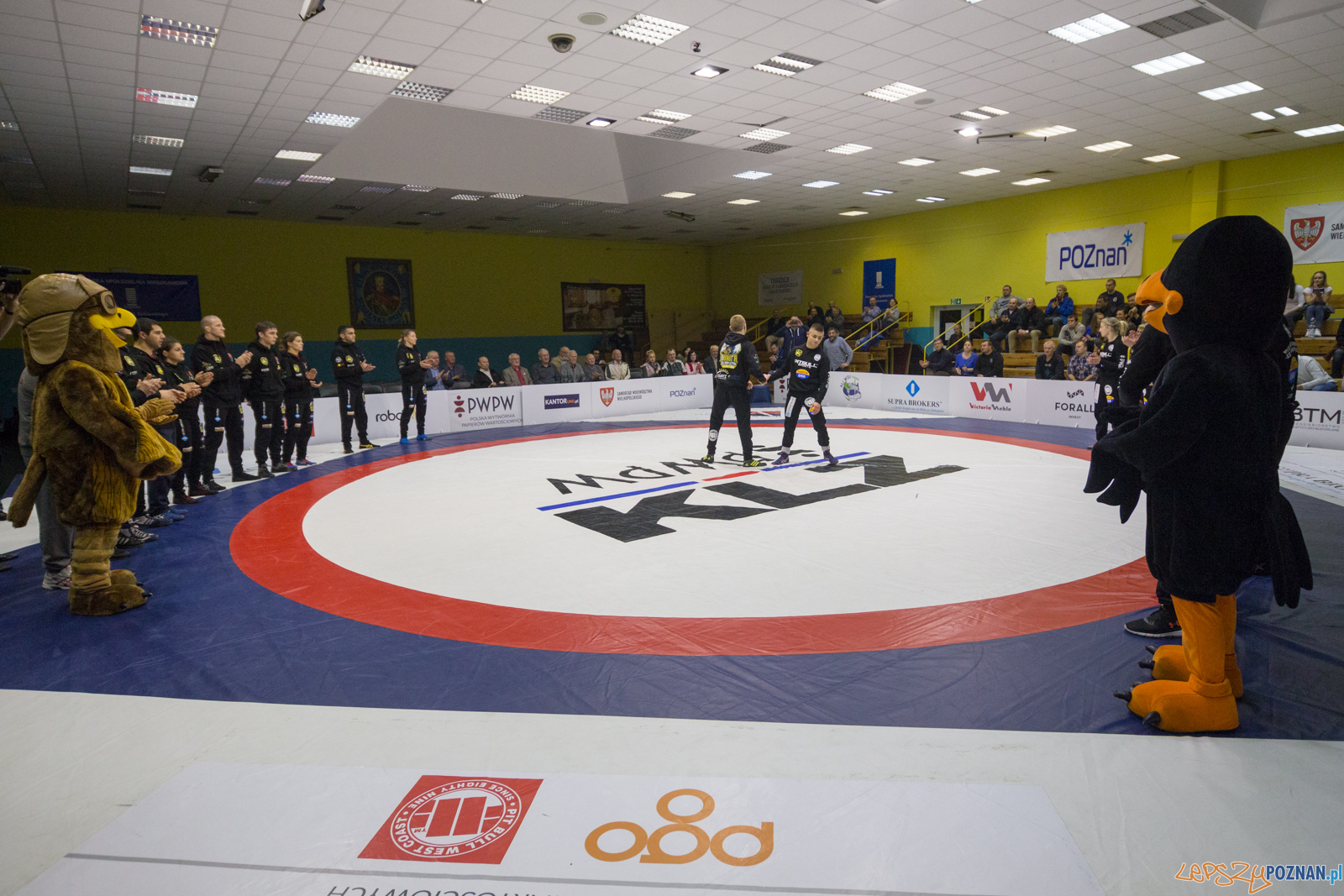 WZS WKS Grunwald – KS Sobieski Poznań - Boruta-Olimpijczyk Wr Foto: lepszyPOZNAN.pl/Piotr Rychter WZS WKS Grunwald – KS Sobieski Poznań - Boruta-Olimpijczyk Wr Foto: lepszyPOZNAN.pl/Piotr Rychter