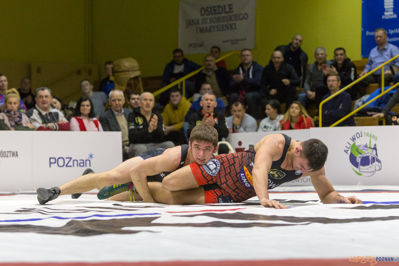 WZS WKS Grunwald – KS Sobieski Poznań - Boruta-Olimpijczyk Wr Foto: lepszyPOZNAN.pl/Piotr Rychter WZS WKS Grunwald – KS Sobieski Poznań - Boruta-Olimpijczyk Wr Foto: lepszyPOZNAN.pl/Piotr Rychter