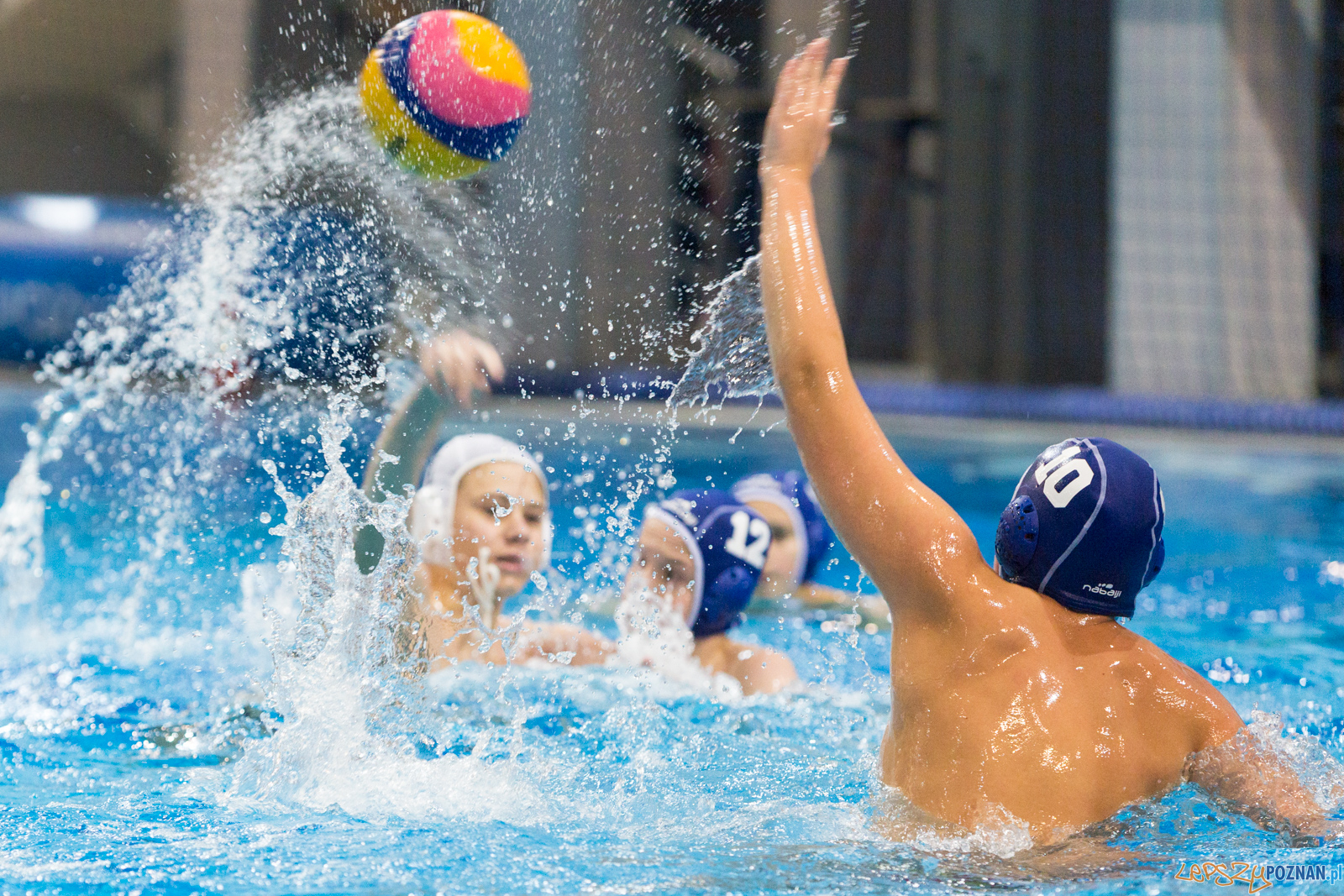 Junior Malta Waterpolo Cup 2017 Foto: lepszyPOZNAN.pl/Piotr Rychter Junior Malta Waterpolo Cup 2017 Foto: lepszyPOZNAN.pl/Piotr Rychter