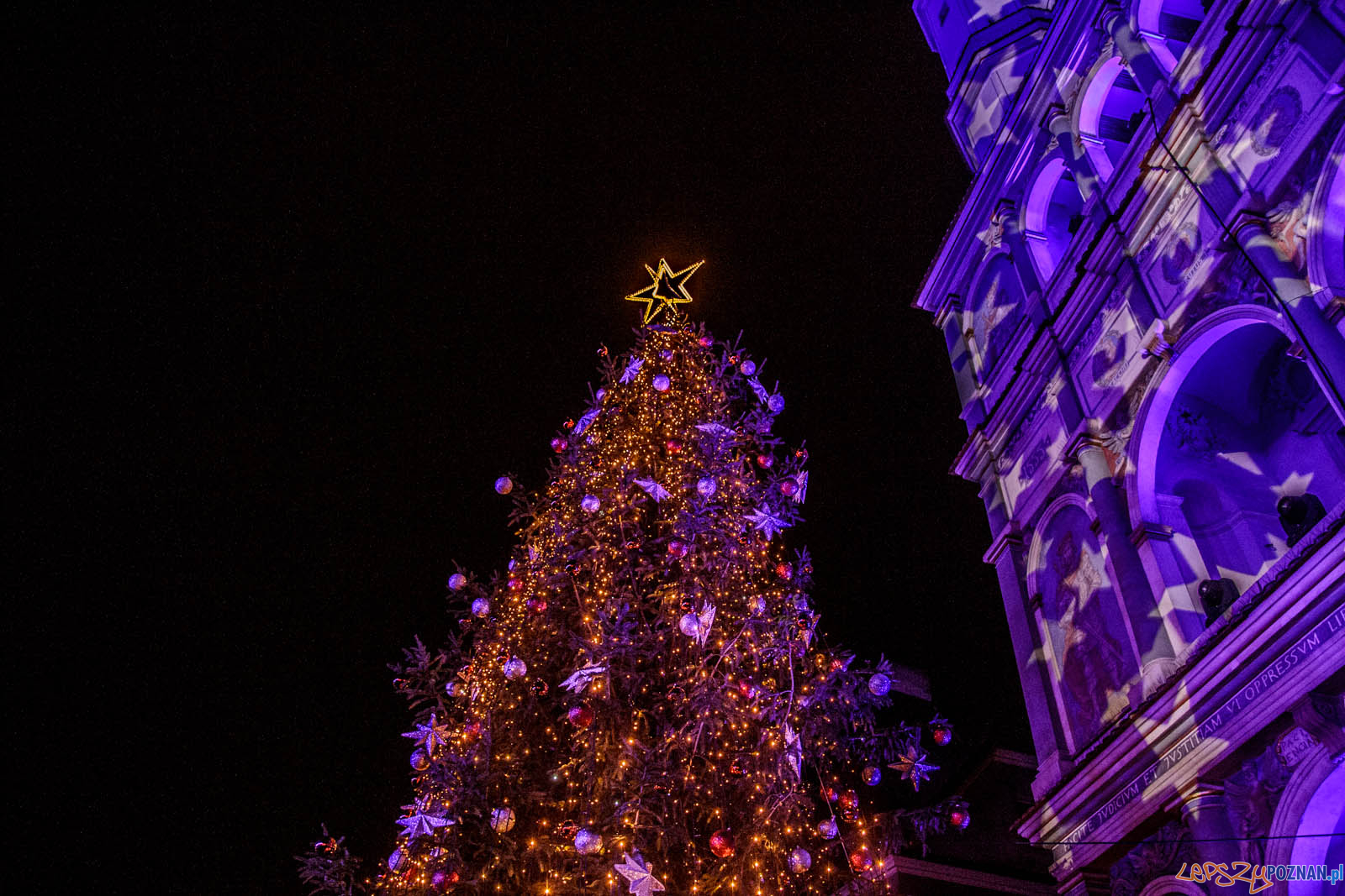 Rozświetlenie choinki miejskiej Foto: lepszyPOZNAN.pl / Ewelina Jaskowiak Rozświetlenie choinki miejskiej Foto: lepszyPOZNAN.pl / Ewelina Jaskowiak