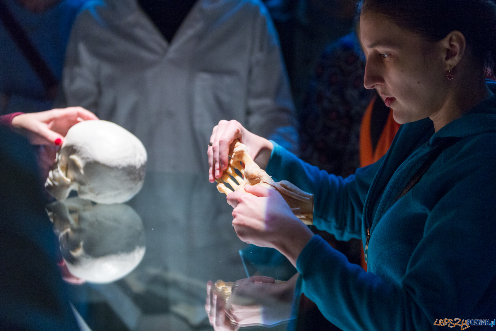 Body Worlds Foto: lepszyPOZNAN.pl/Piotr Rychter Body Worlds Foto: lepszyPOZNAN.pl/Piotr Rychter