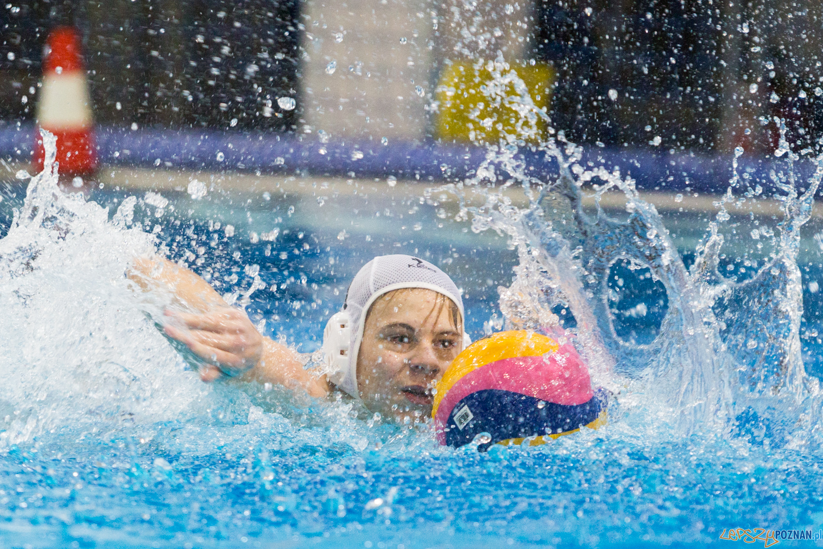 Junior Malta Waterpolo Cup 2017 Foto: lepszyPOZNAN.pl/Piotr Rychter Junior Malta Waterpolo Cup 2017 Foto: lepszyPOZNAN.pl/Piotr Rychter