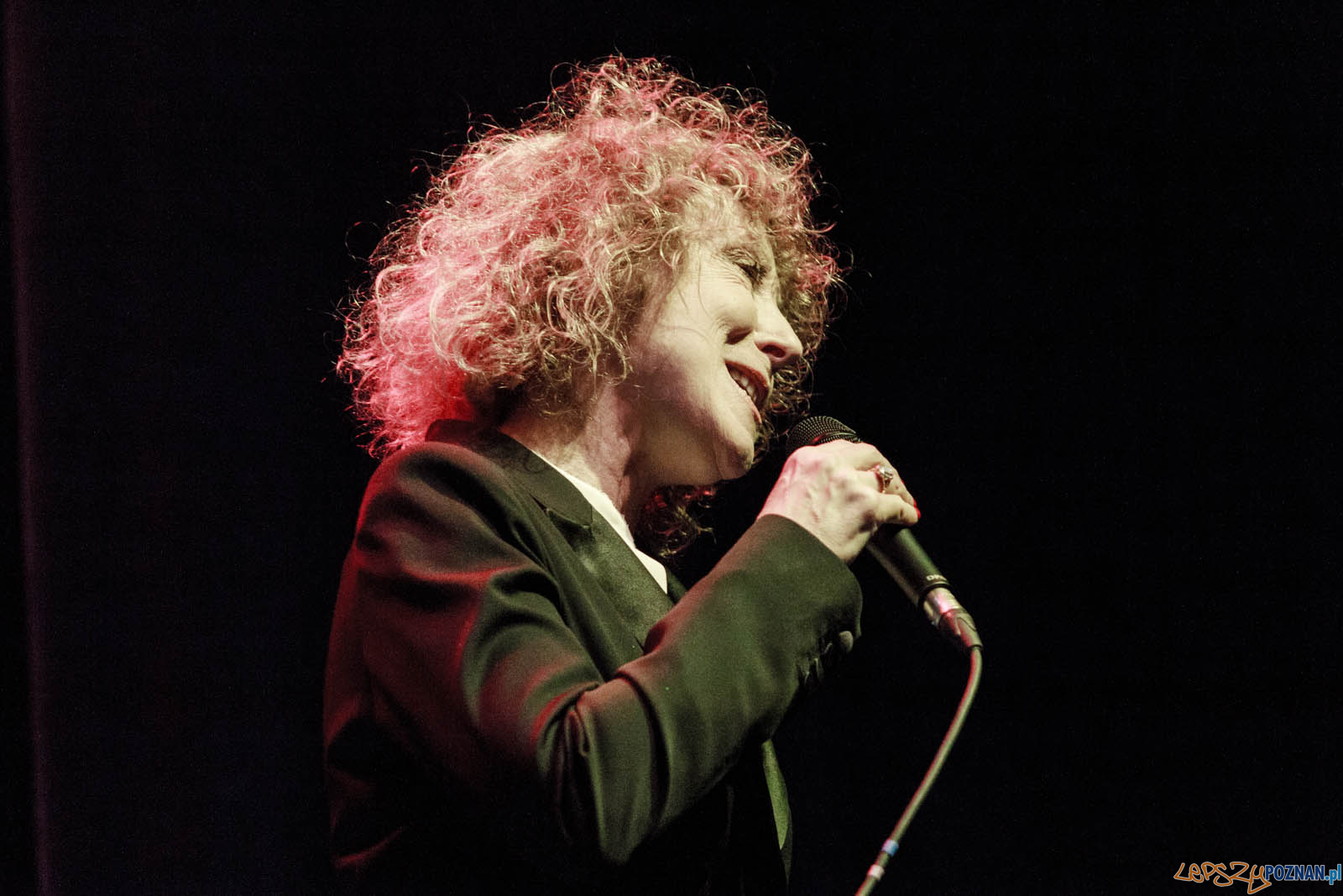 Gwiazdo Świeć, koledo leć Foto: lepszyPOZNAN.pl / Ewelina Jaskowiak Gwiazdo Świeć, koledo leć Foto: lepszyPOZNAN.pl / Ewelina Jaskowiak