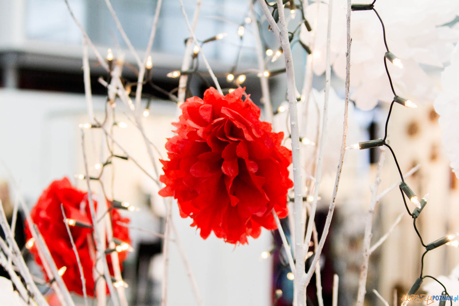 Festiwal Sztuki i Przedmiotów Artystycznych - 2017 Foto: lepszyPOZNAN.pl / Ewelina Jaskowiak Festiwal Sztuki i Przedmiotów Artystycznych - 2017 Foto: lepszyPOZNAN.pl / Ewelina Jaskowiak