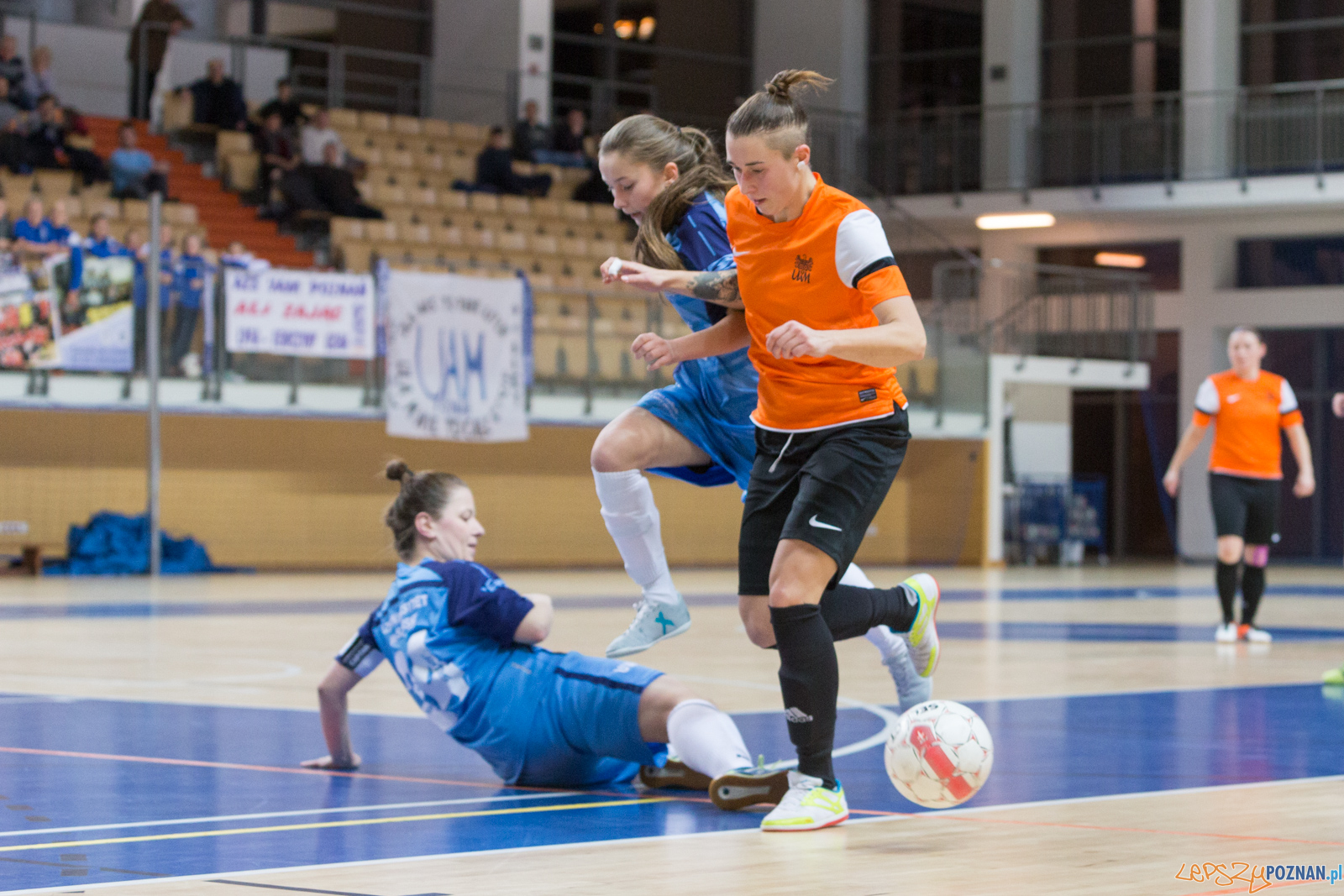 AZS UAM Poznań - AZS UW Warszawa Foto: lepszyPOZNAN.pl/Piotr Rychter AZS UAM Poznań - AZS UW Warszawa Foto: lepszyPOZNAN.pl/Piotr Rychter
