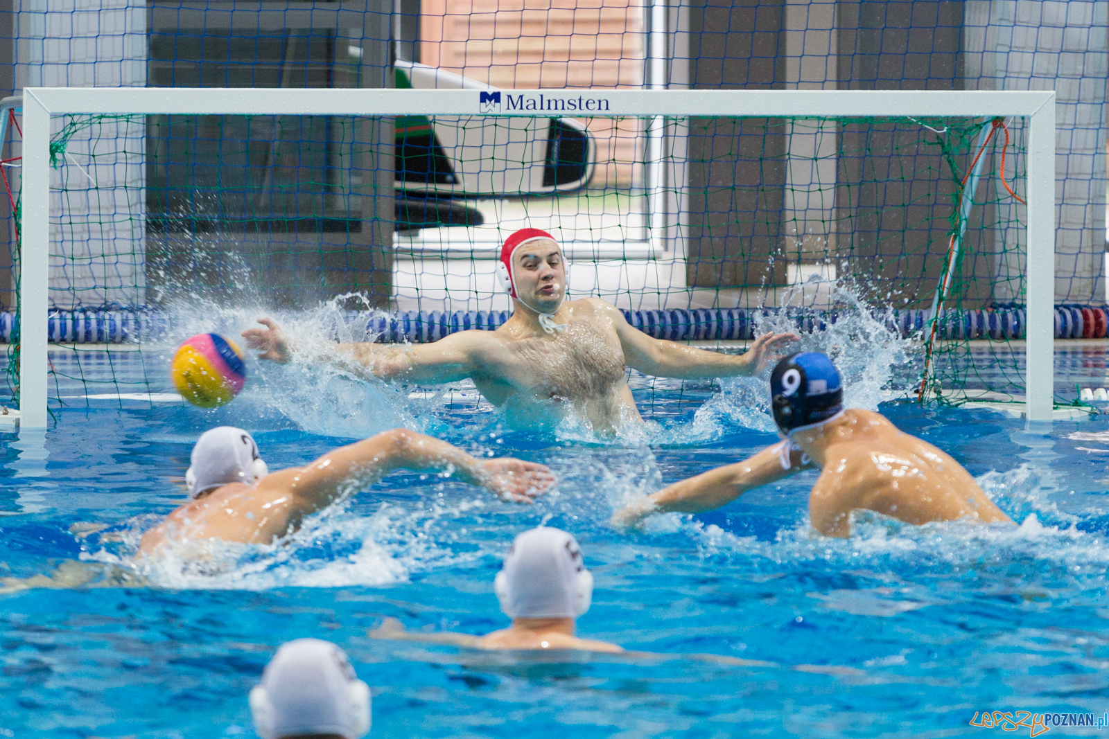 Malta Waterpolo Cup 2017 Foto: lepszyPOZNAN.pl/Piotr Rychter Malta Waterpolo Cup 2017 Foto: lepszyPOZNAN.pl/Piotr Rychter