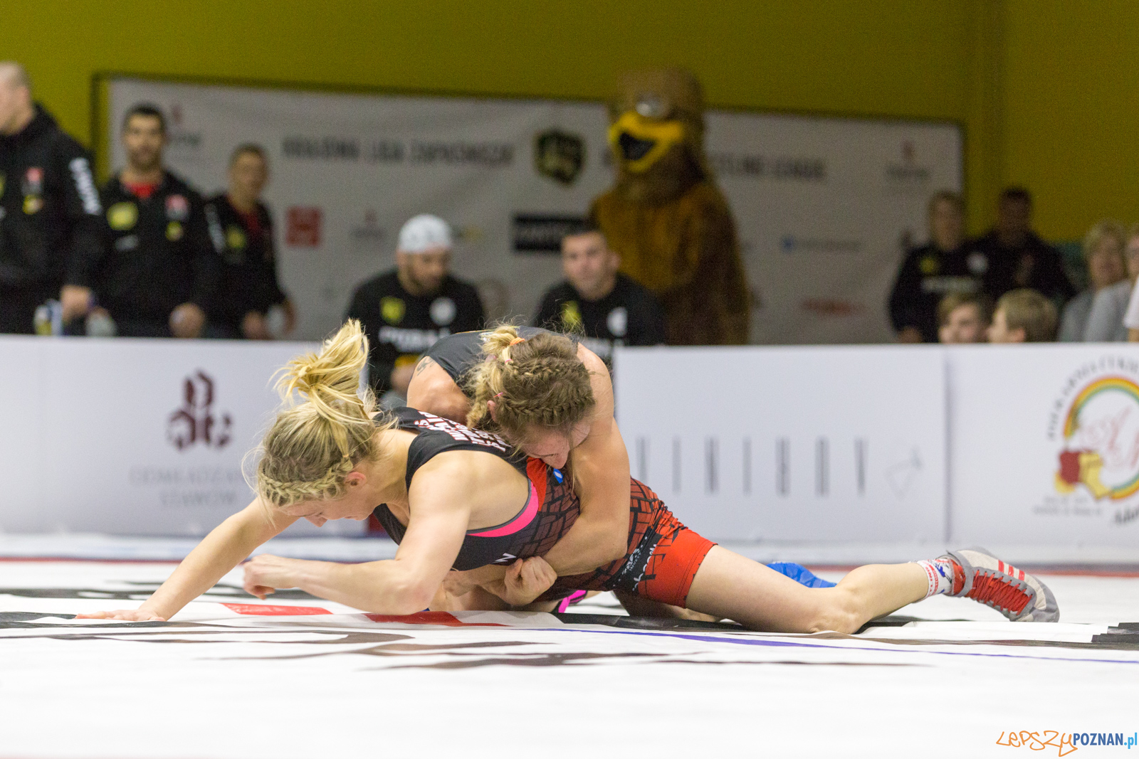 WZS WKS Grunwald – KS Sobieski Poznań - Boruta-Olimpijczyk Wr Foto: lepszyPOZNAN.pl/Piotr Rychter WZS WKS Grunwald – KS Sobieski Poznań - Boruta-Olimpijczyk Wr Foto: lepszyPOZNAN.pl/Piotr Rychter